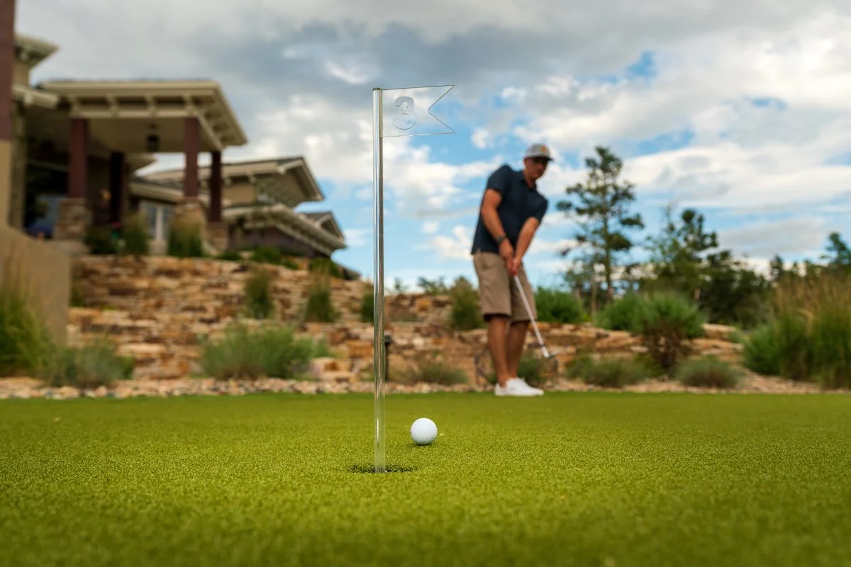 Landscape design with artificial turf in Briargate, CO