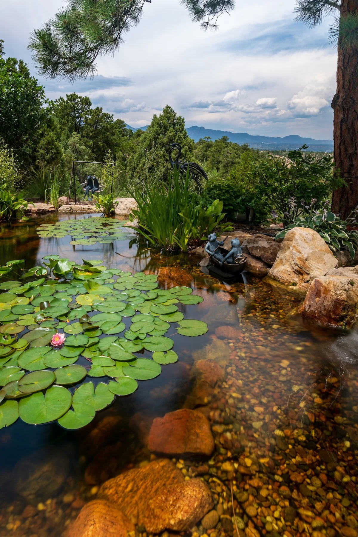 Landscape design with koi fish pond in Colorado Springs, CO