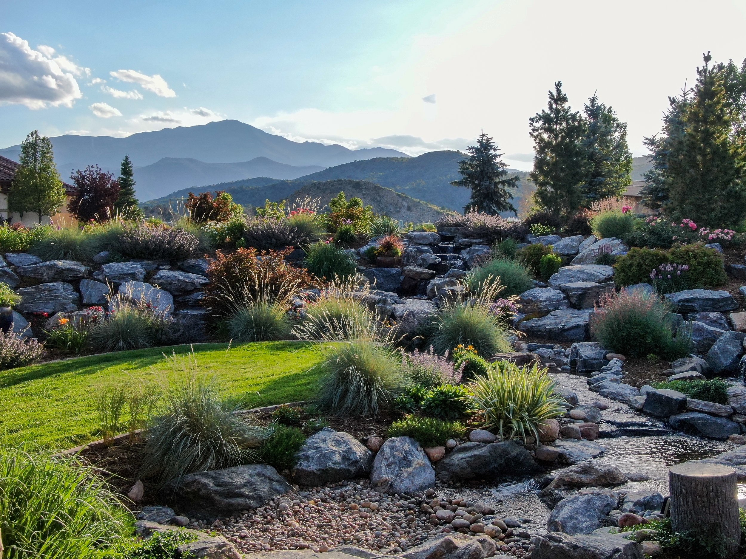 Landscape design with plantings in Colorado Springs, CO (Copy)