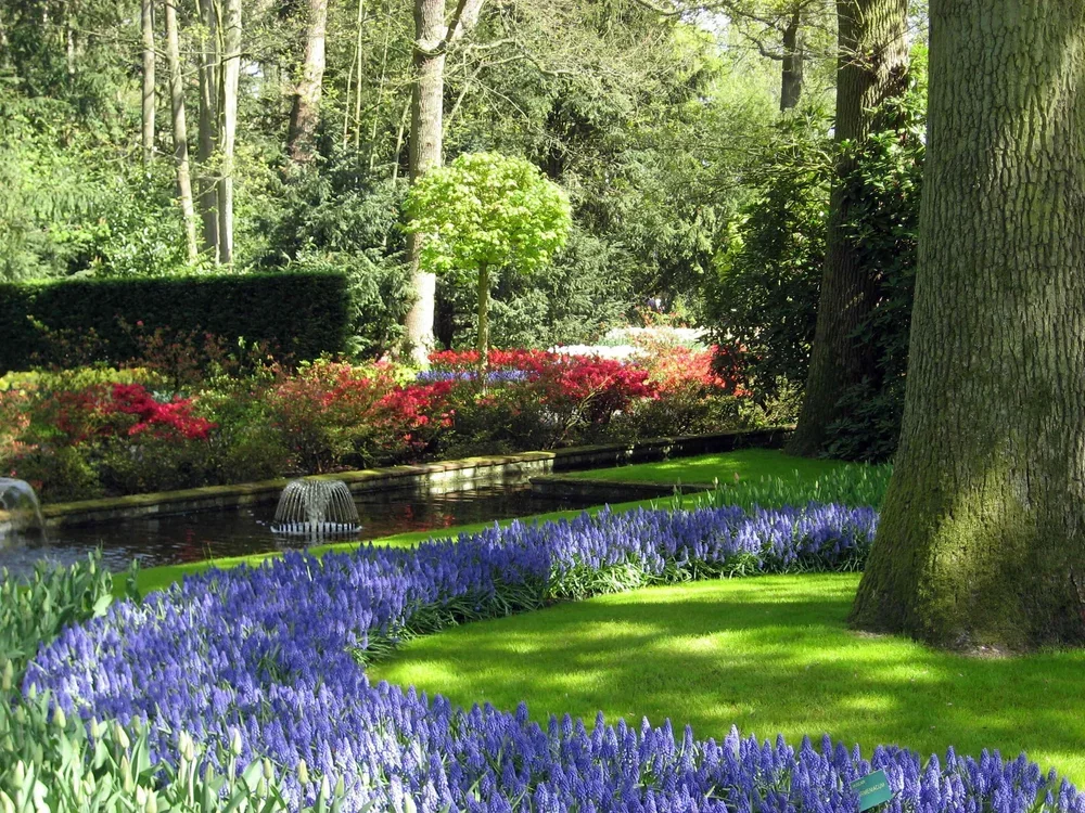 Commercial+lawn+care+in+Howard+County,+Washington+County,+Fairfax,+VA