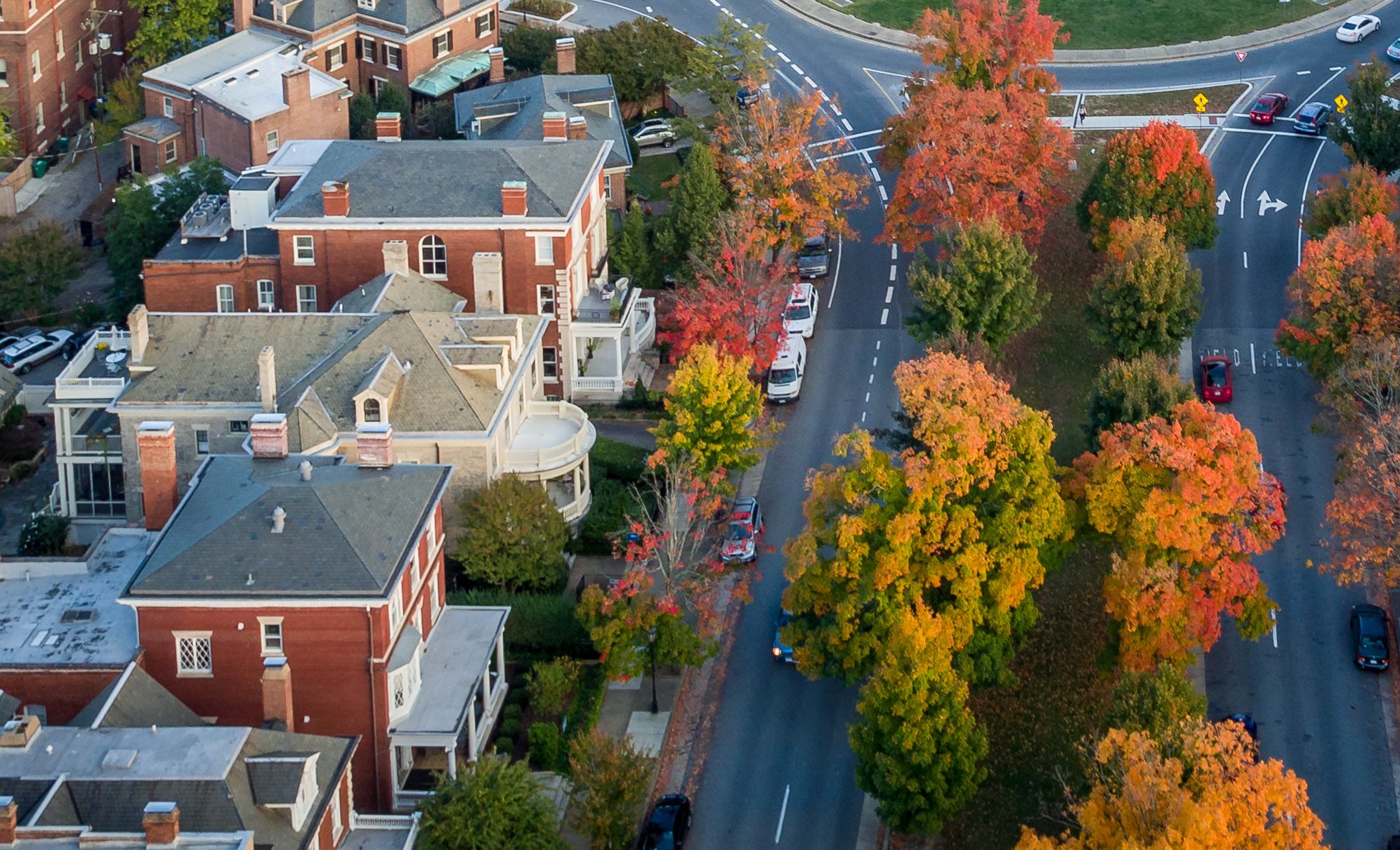 Seasonal clean-up services in Merrifield, VA