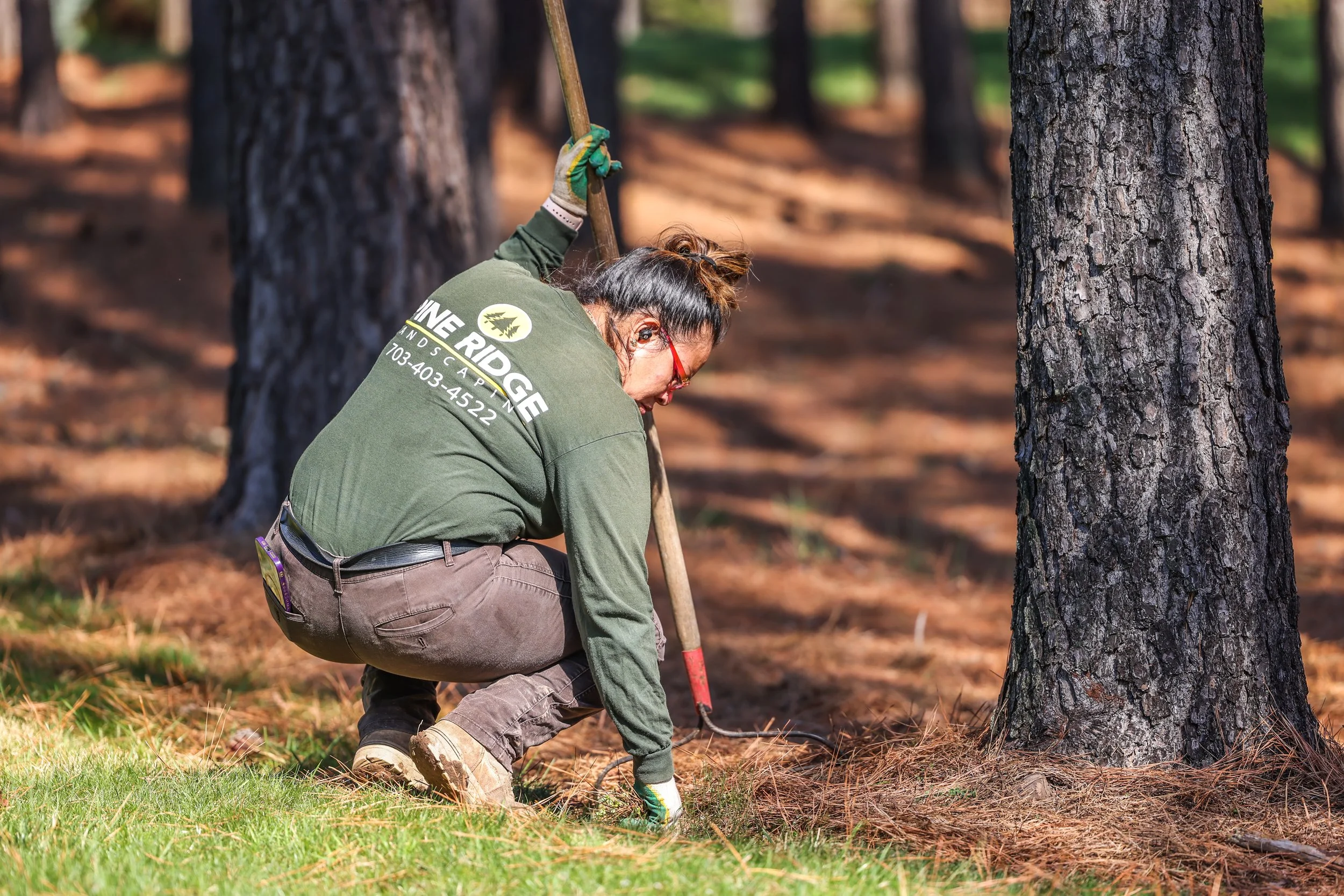 commercial landscape maintenance