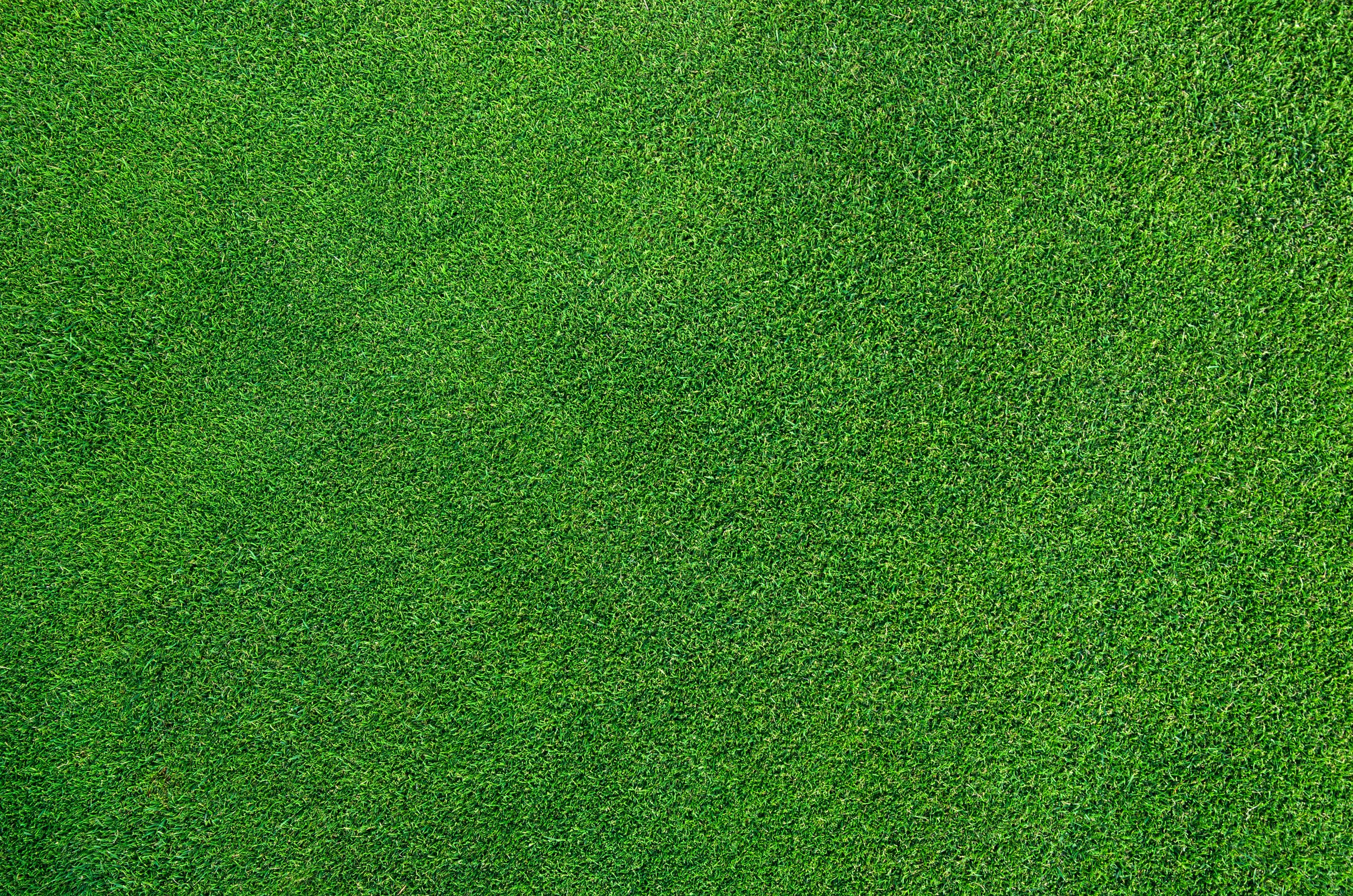 Stunning artificial turf in Haslet, TX