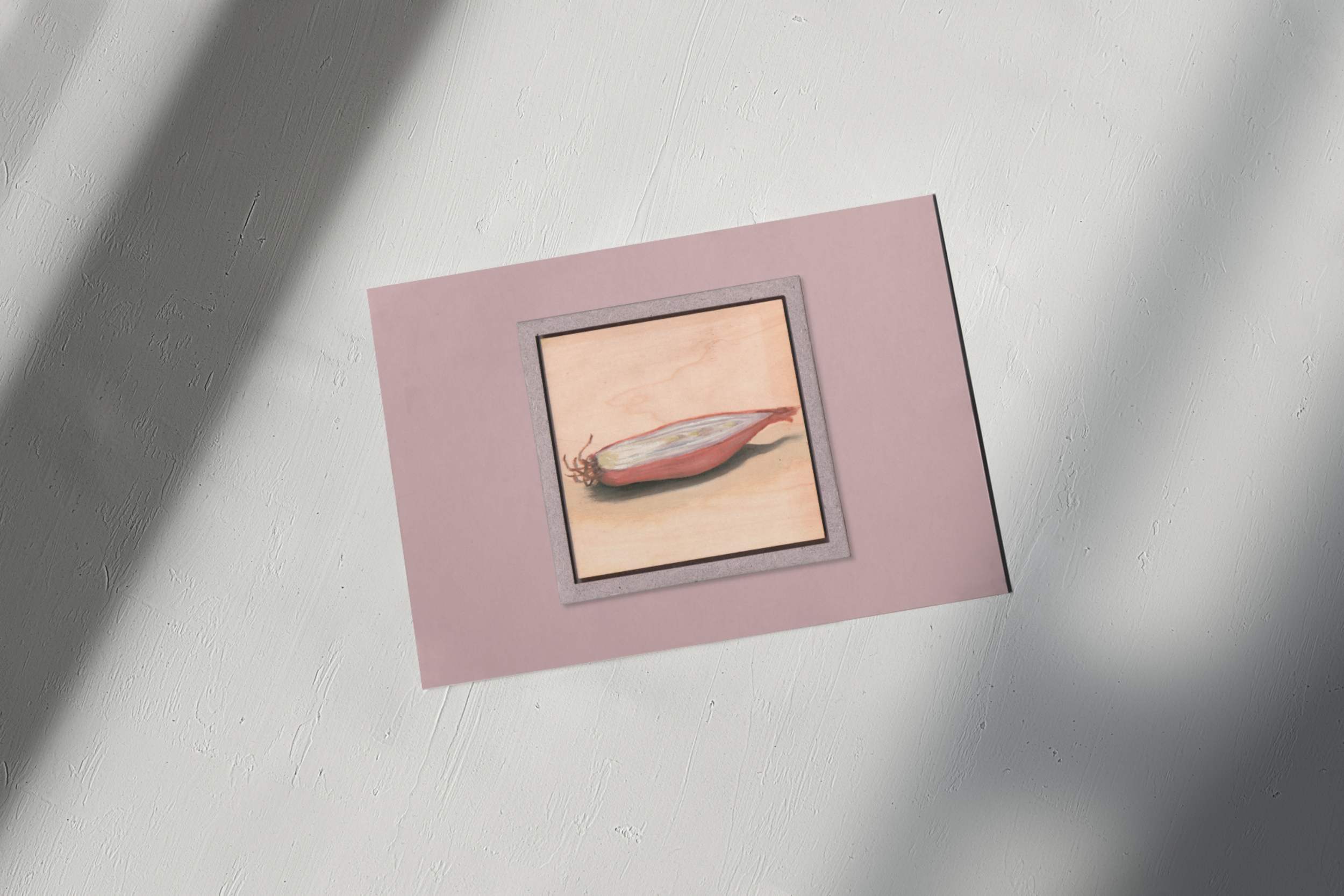 Shallot Print (3).png