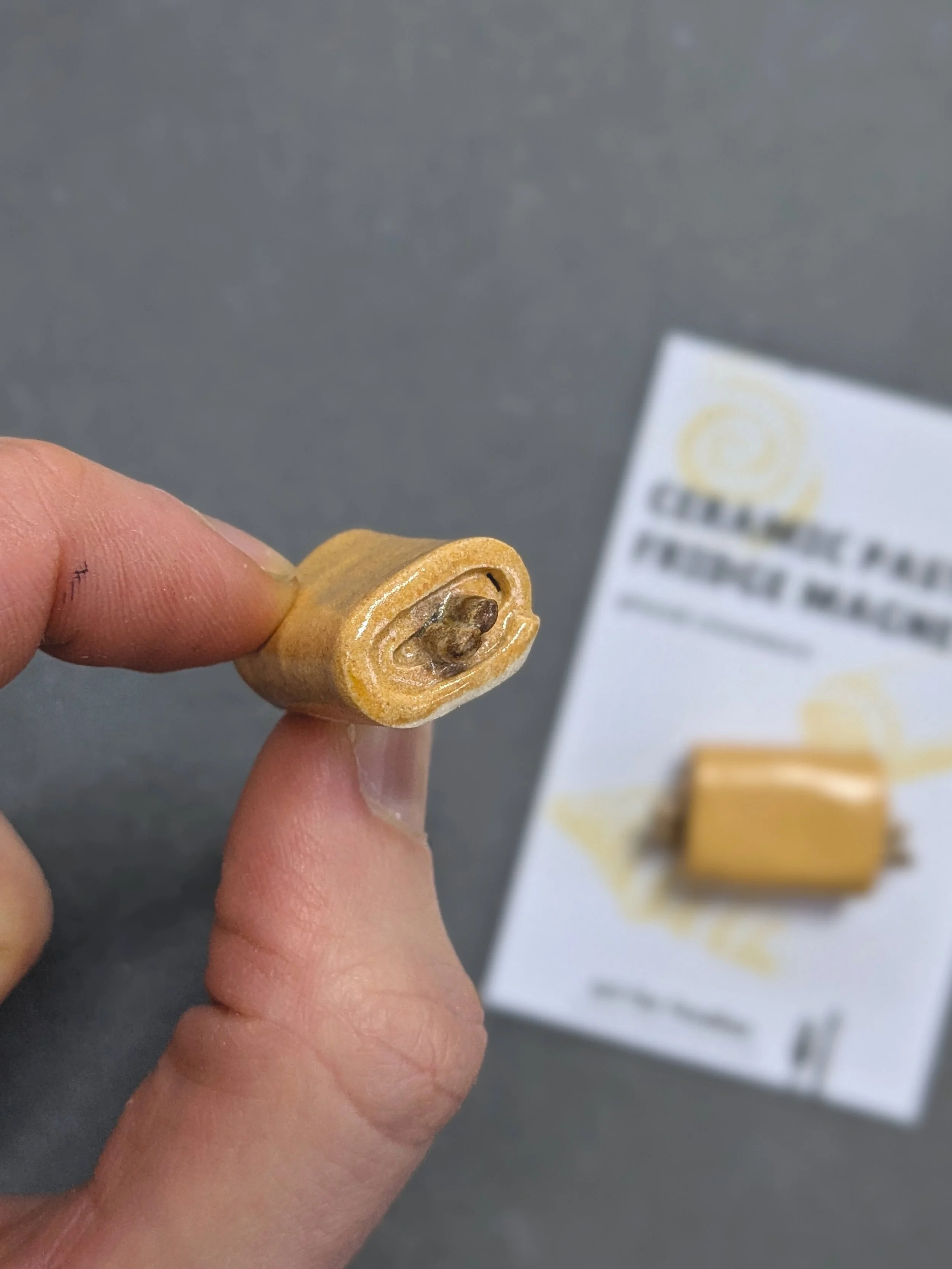 1000028291.jpg (Copy)