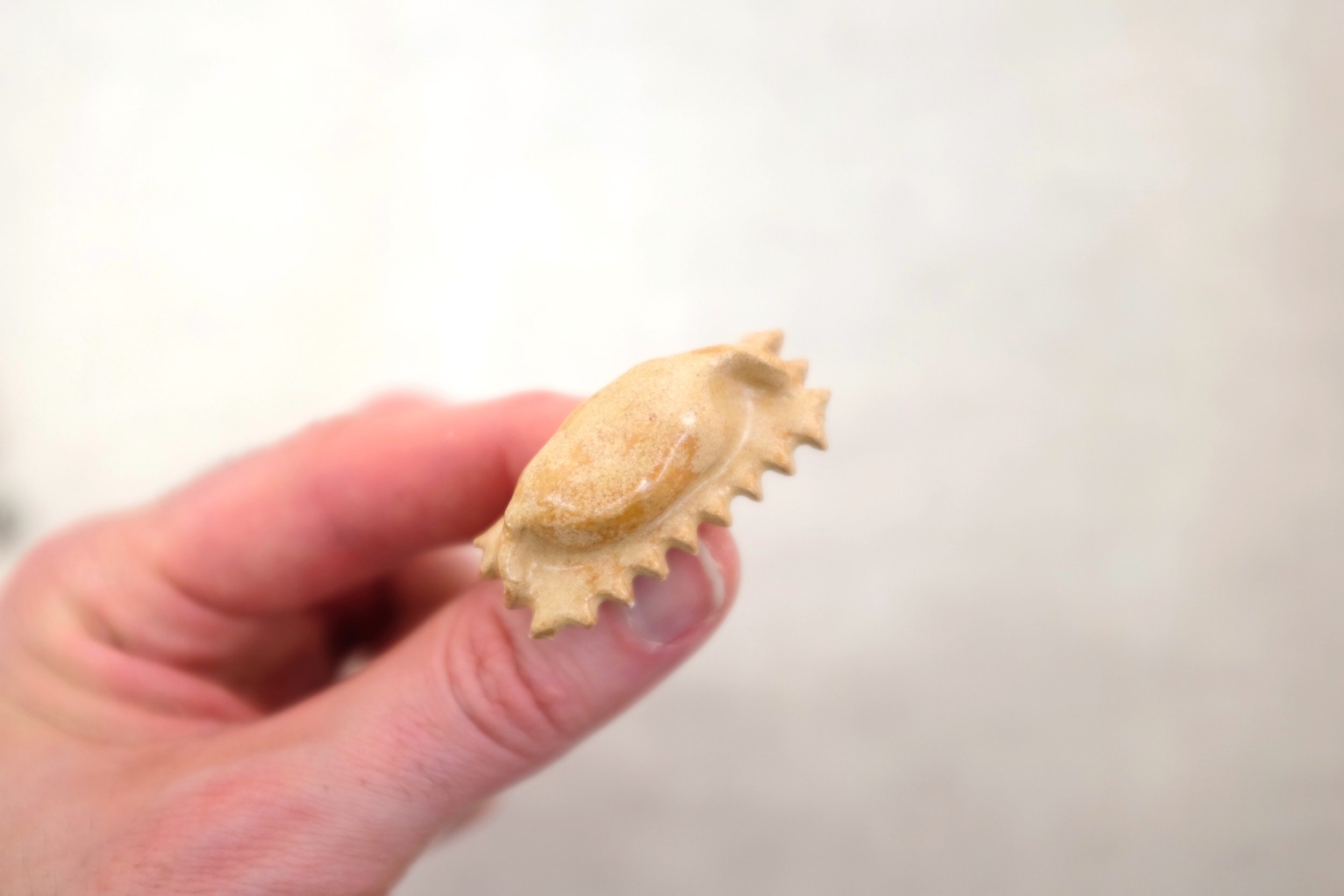 Agnolotti.JPG