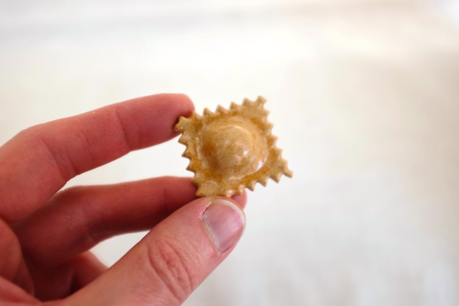 Raviolini.JPG