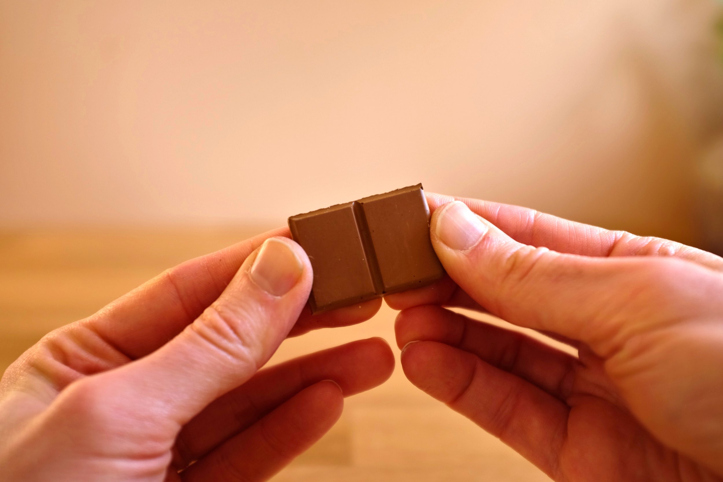 Double Milk Chocolate Fridge Magnet - Pin Badge by Art for Foodies (2).JPG