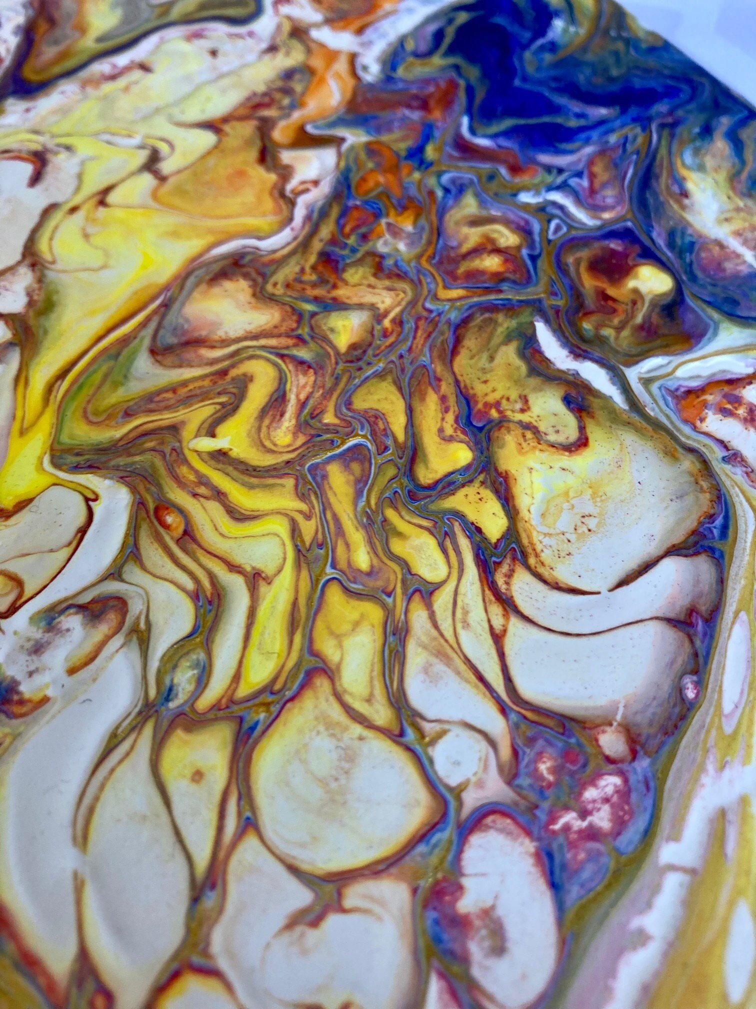 https://i.etsystatic.com/39608210/r/il/cec14a/4511824899/il_fullxfull.4511824899_c32e.jpg