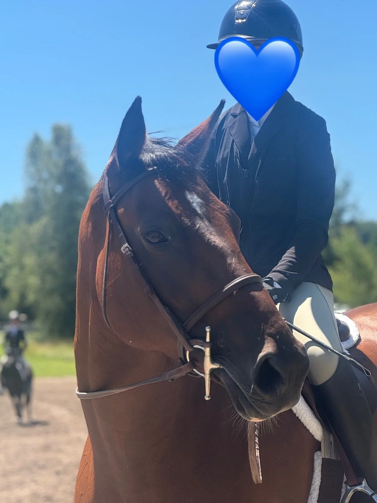 This year feels different. 
I&rsquo;ll be traveling to horse shows more than ever before, soaking in their beauty, strength, and personalities, letting that inspire my art. Excited to learn new techniques and creative styles. 
I&rsquo;m moving beyond