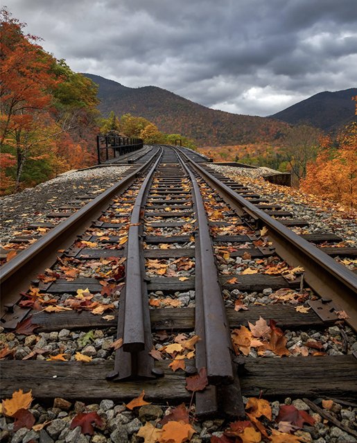 scaleinthehallway 1.jpg