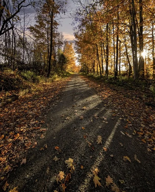 scaleinthehallway 1.jpg