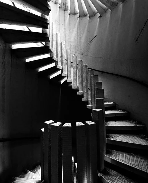 scaleinthehallway 1.jpg