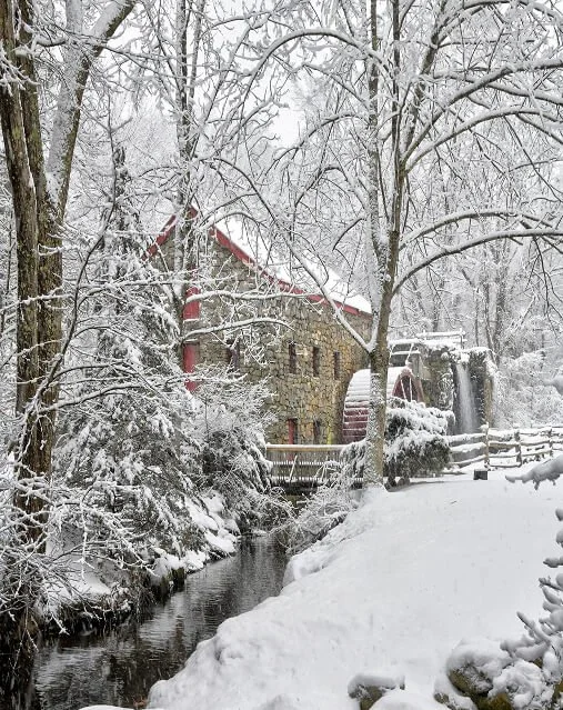 barberchairinthesunportrait (1).jpg