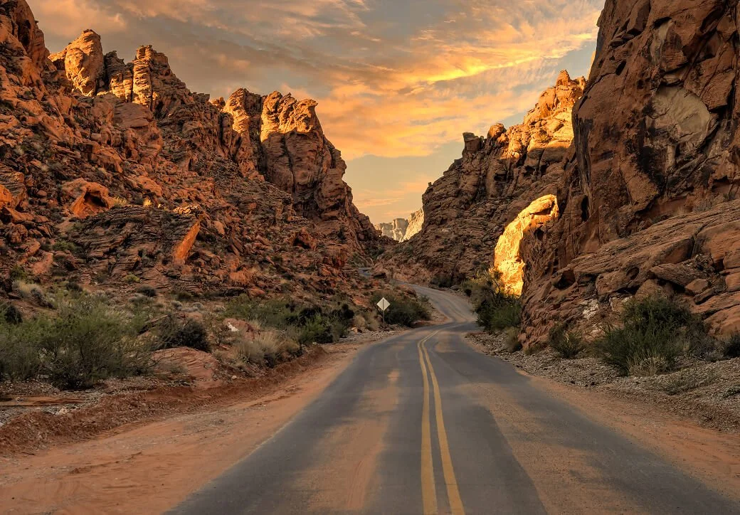 Golden Hour Photography: How to Find and Shoot the Best Light of the Day