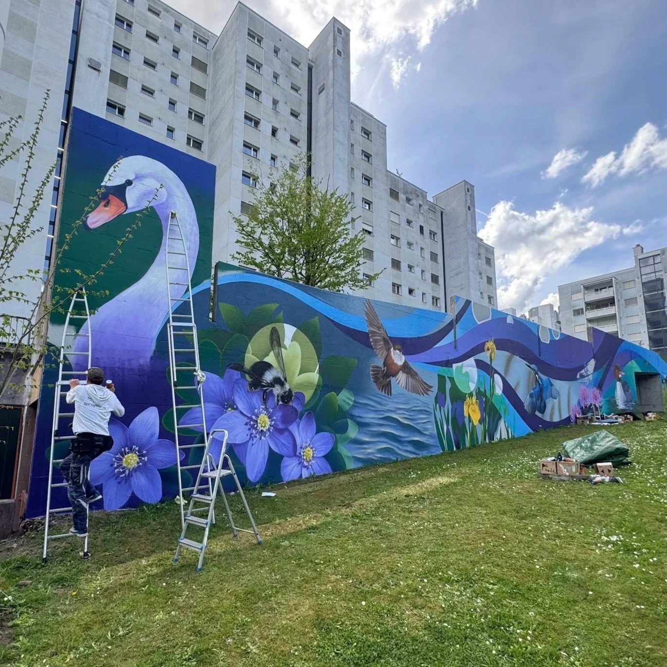 UAB - Urban Art Baden - Wandbild der lokalen Flora und Fauna, Webermühle Neuenhof, Aargau