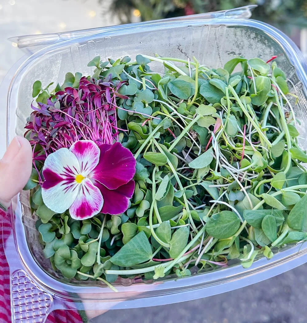 Tiny Stem Microgreens tiny-stem-microgreens