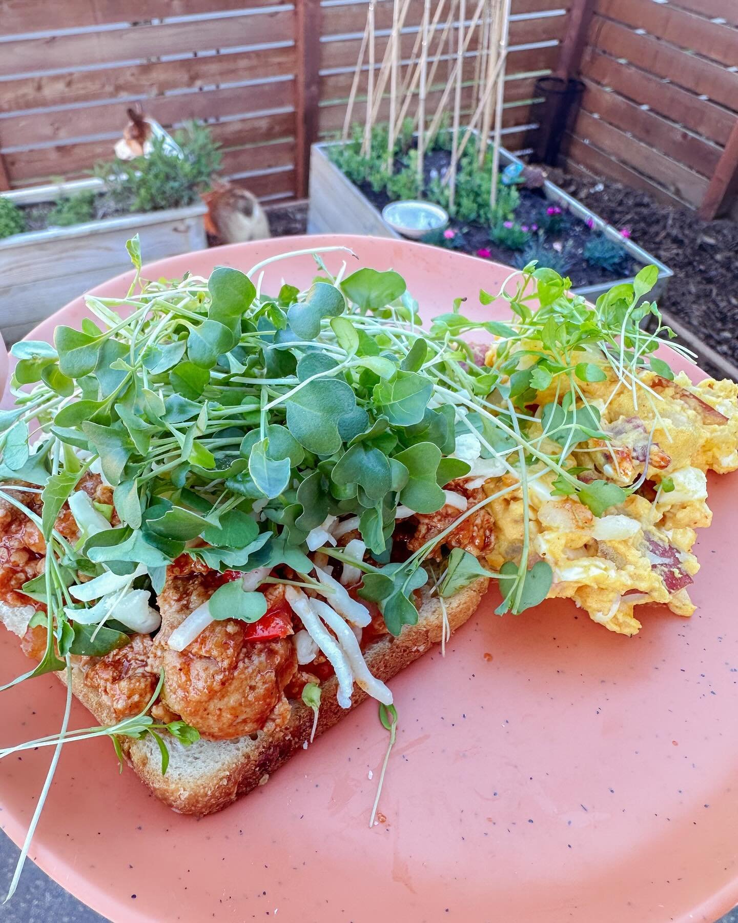 Elevate your weeknight meals with the power of microgreens! 

🌱 Just a sprinkle of these nutrient-packed greens adds fresh flavor, crunch, and a boost of vitamins to any quick dinner. 

An easy way to get more goodness into your busy schedule. 
.
.
