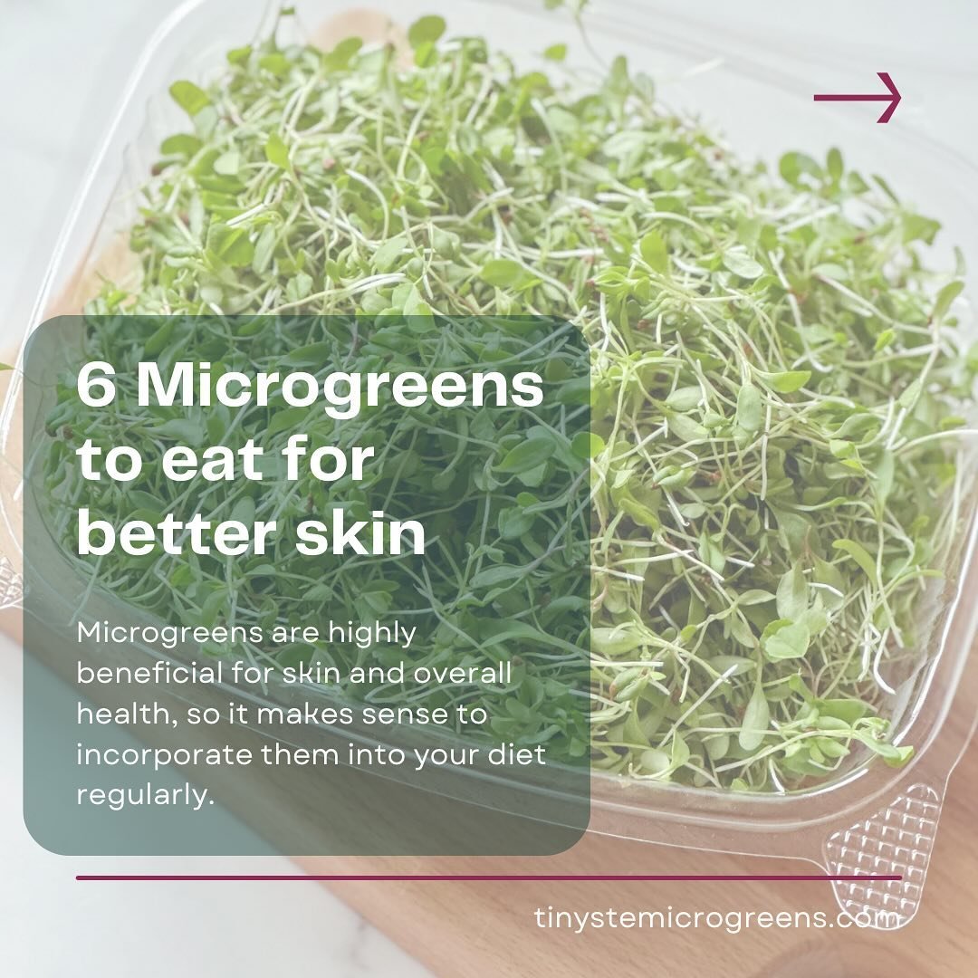 🌟Six Microgreens for Radiant Skin🌟

Unlock the power of these nutrient-dense microgreens to unveil a glowing, radiant complexion

Effortlessly incorporate these superfoods into your daily routine &ndash; whether you grow them yourself with our conv