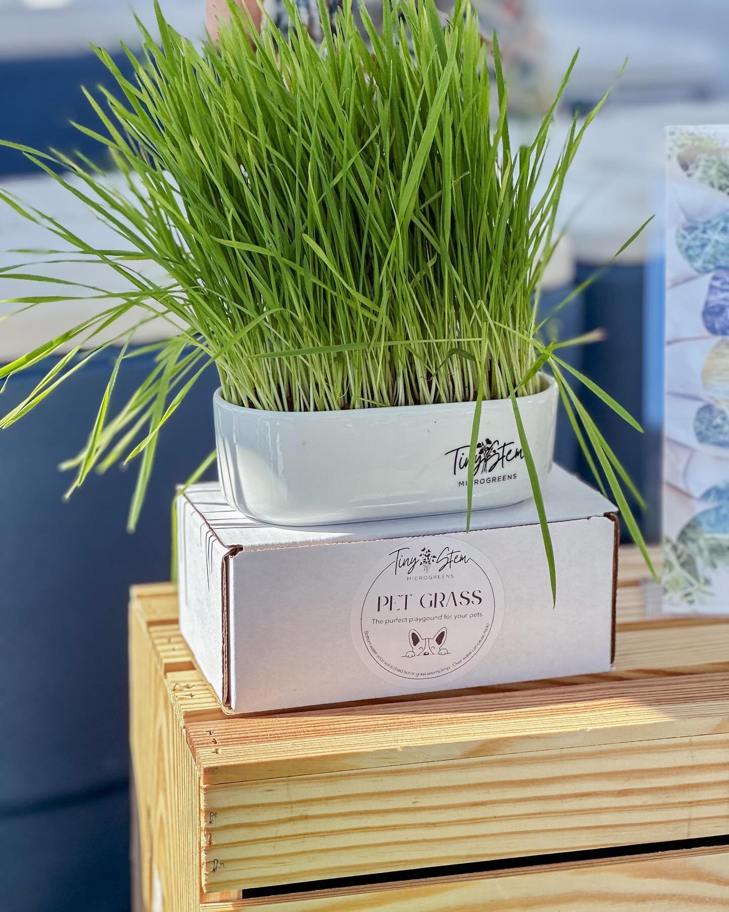 Our Pet Grass Grow Kits have been a HUGE HIT since we launched! 🚀 We&rsquo;re overwhelmed by the love and support we&rsquo;ve received from all of you 🙏

Now, it&rsquo;s your chance to see them in action in person 🤩!

We&rsquo;re showcasing our pr