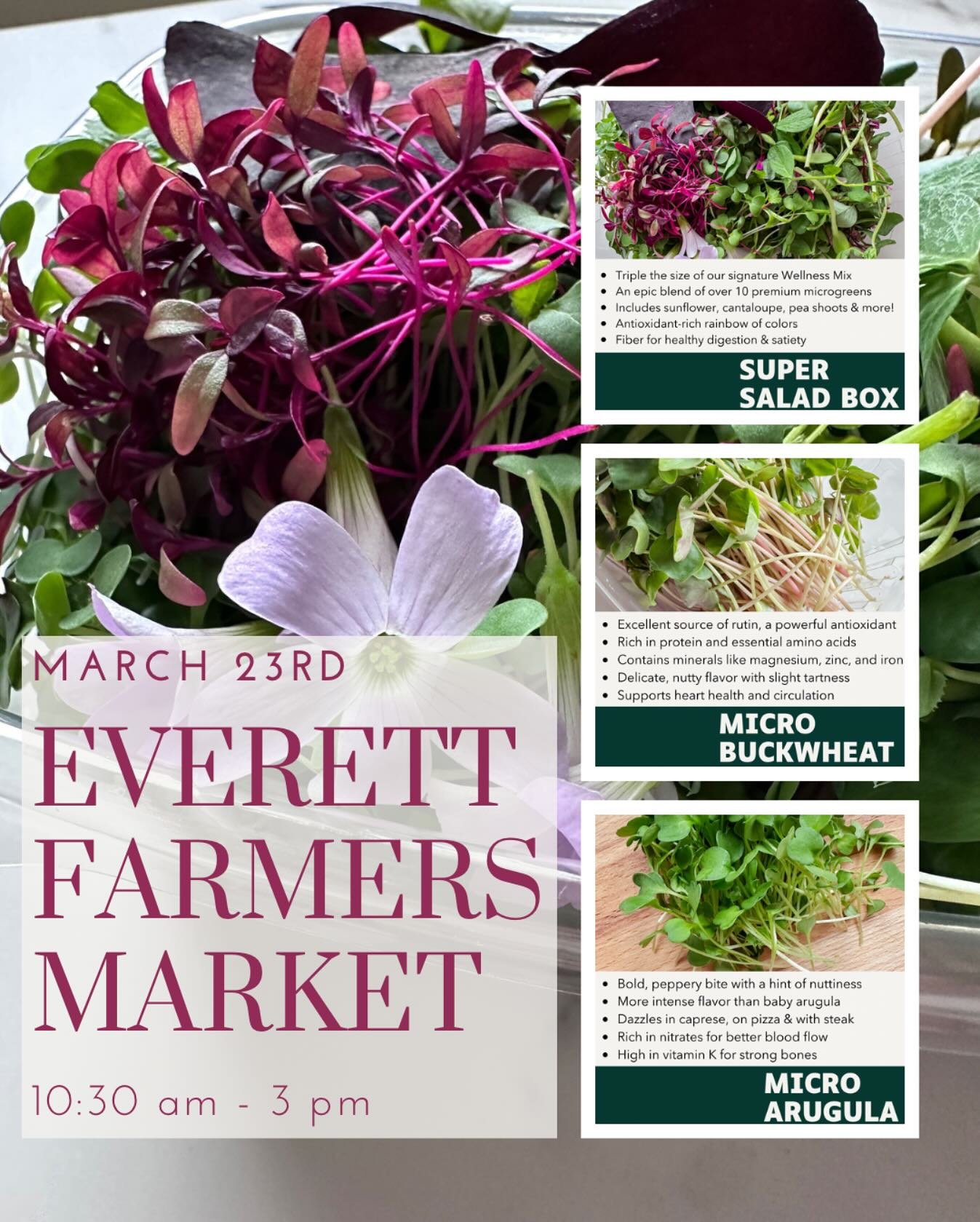 🌱 RAIN OR SHINE: We&rsquo;re at Everett Farmers Market TODAY! 🌱

Don&rsquo;t let a little PNW weather stop you from supporting local! We&rsquo;ll be at the 2nd Get Ready Market in Everett from 10:30am-3pm today.

Grab those rain coats and come say 