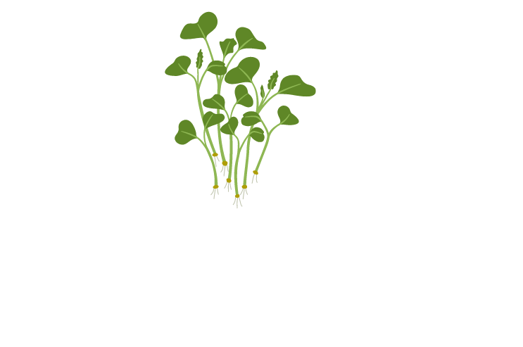 Tiny Stem Microgreens tiny-stem-microgreens