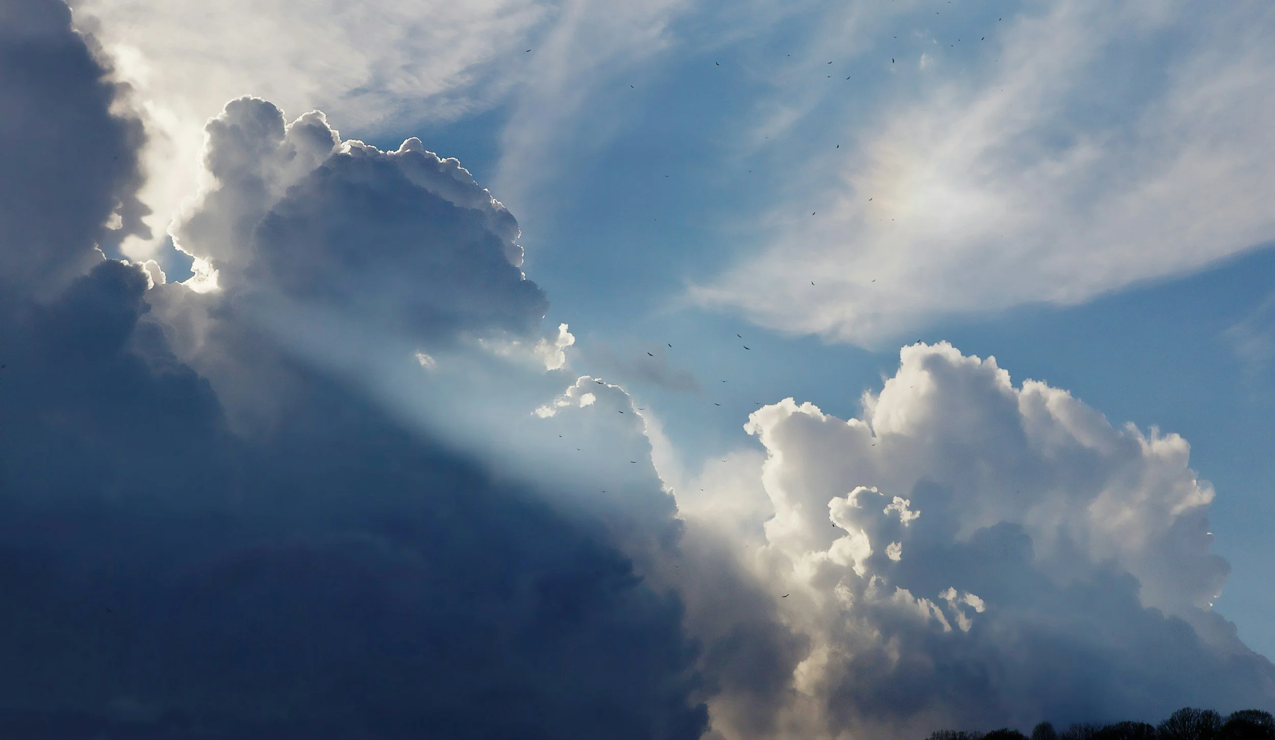 “Why are you standing there looking at the sky?”