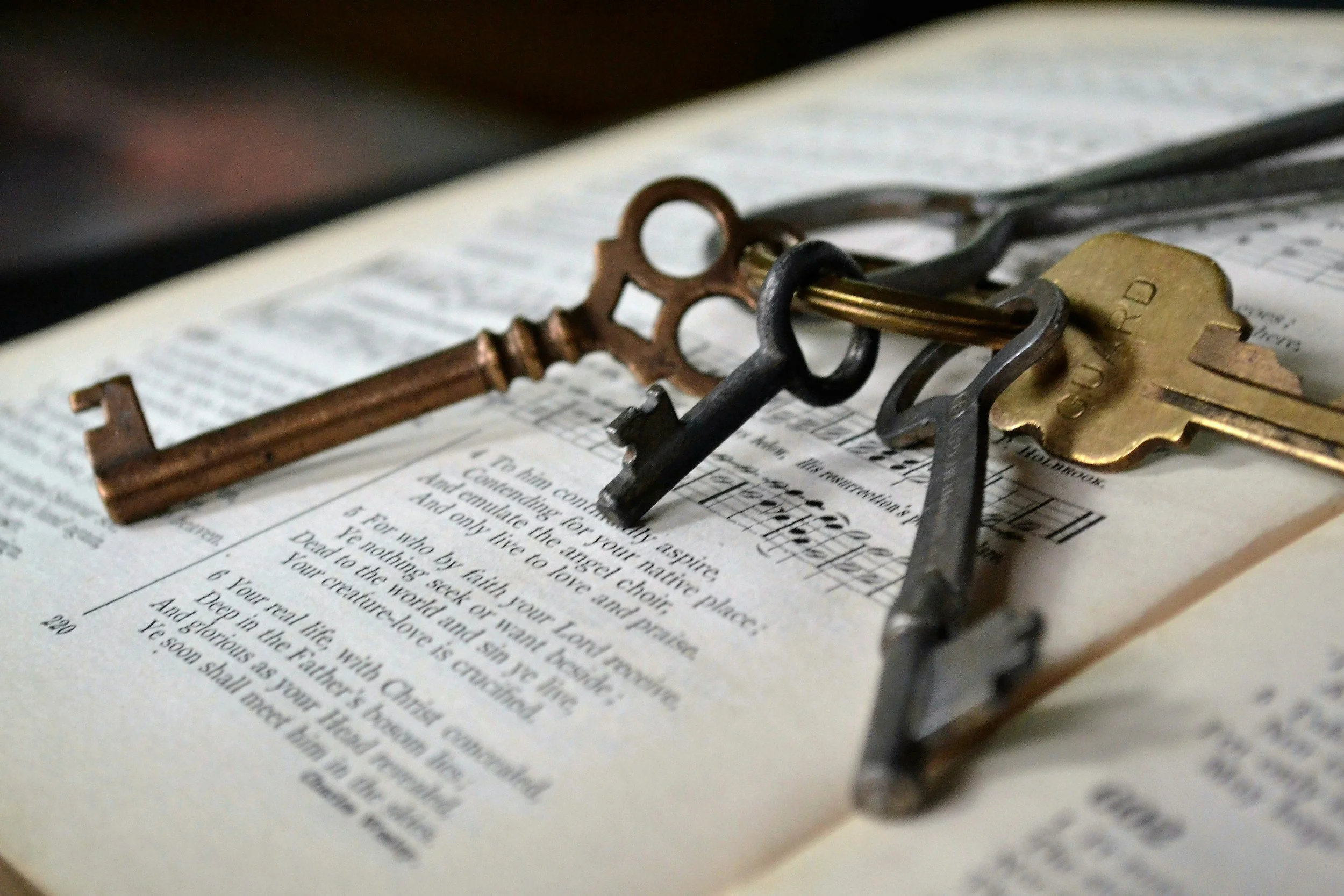 "Blessed are you, Simon son of Jonah."