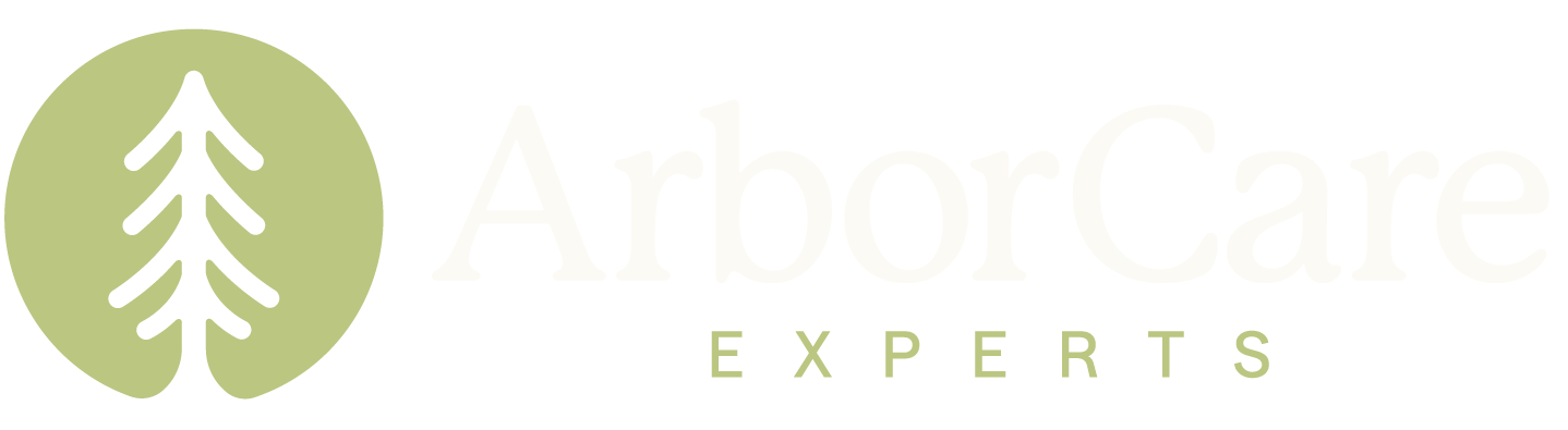 ArborCare Experts