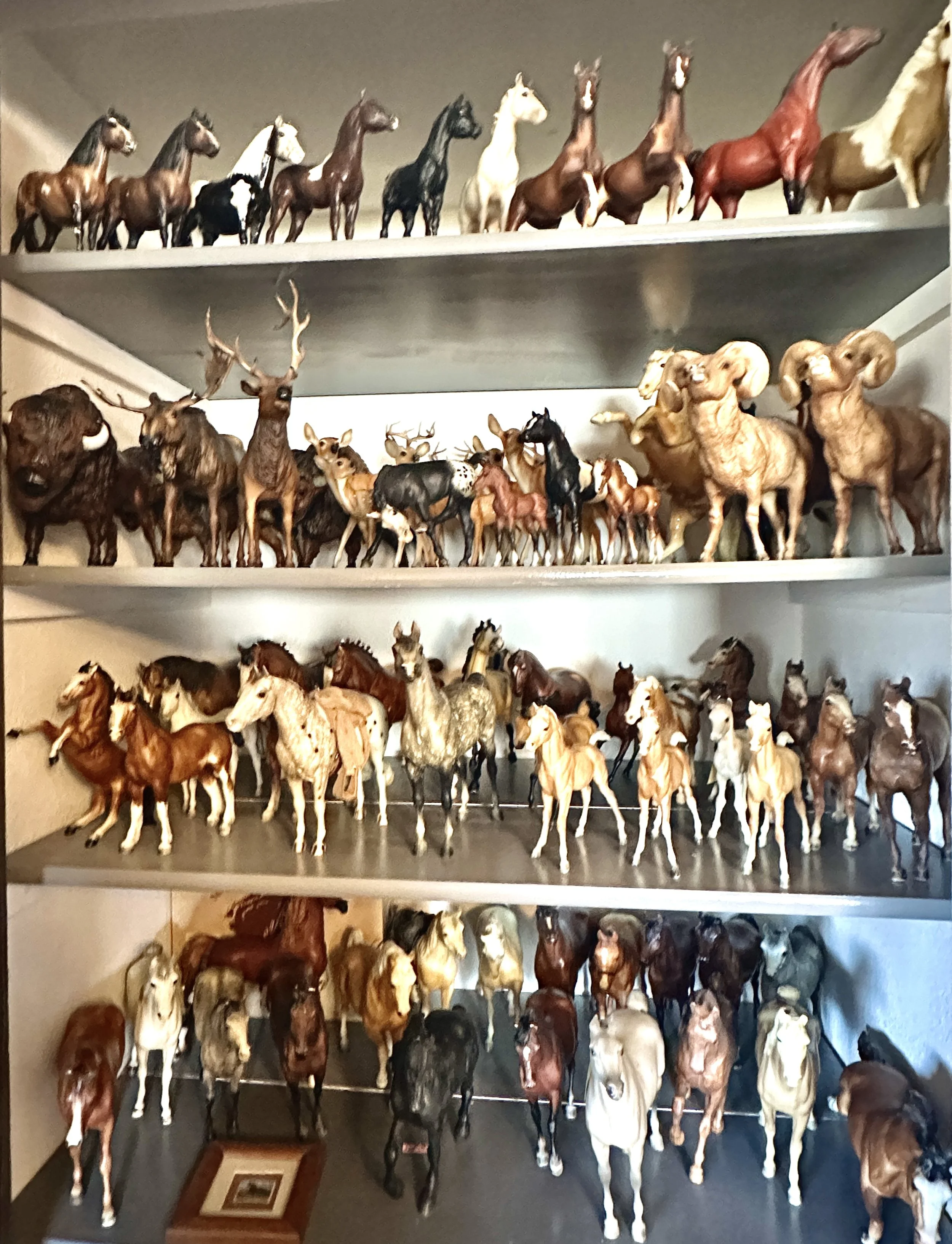 Star Wars, Star Trek, Rockies, Breyer Horses, Native American Items & More!