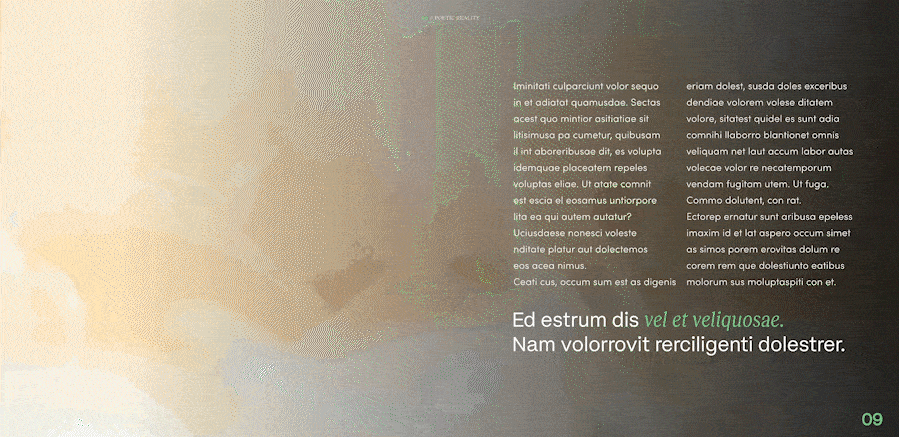 HOME EQUITY_LOREM IPSUM_9.gif