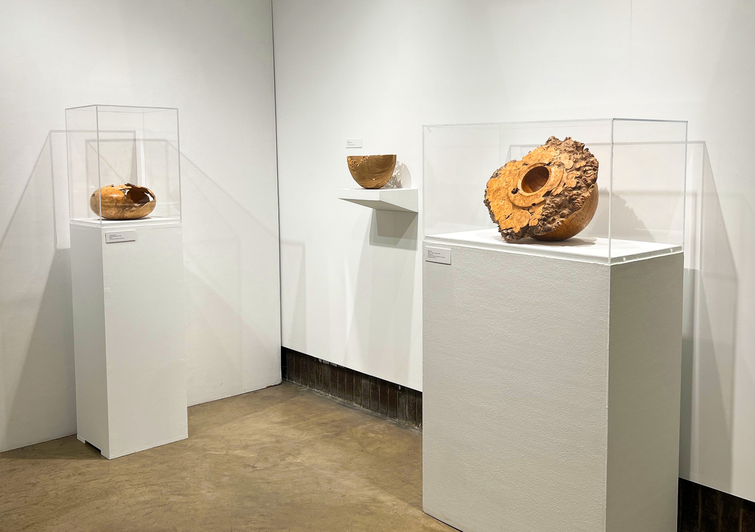 Wood Installation Shot 3.jpg