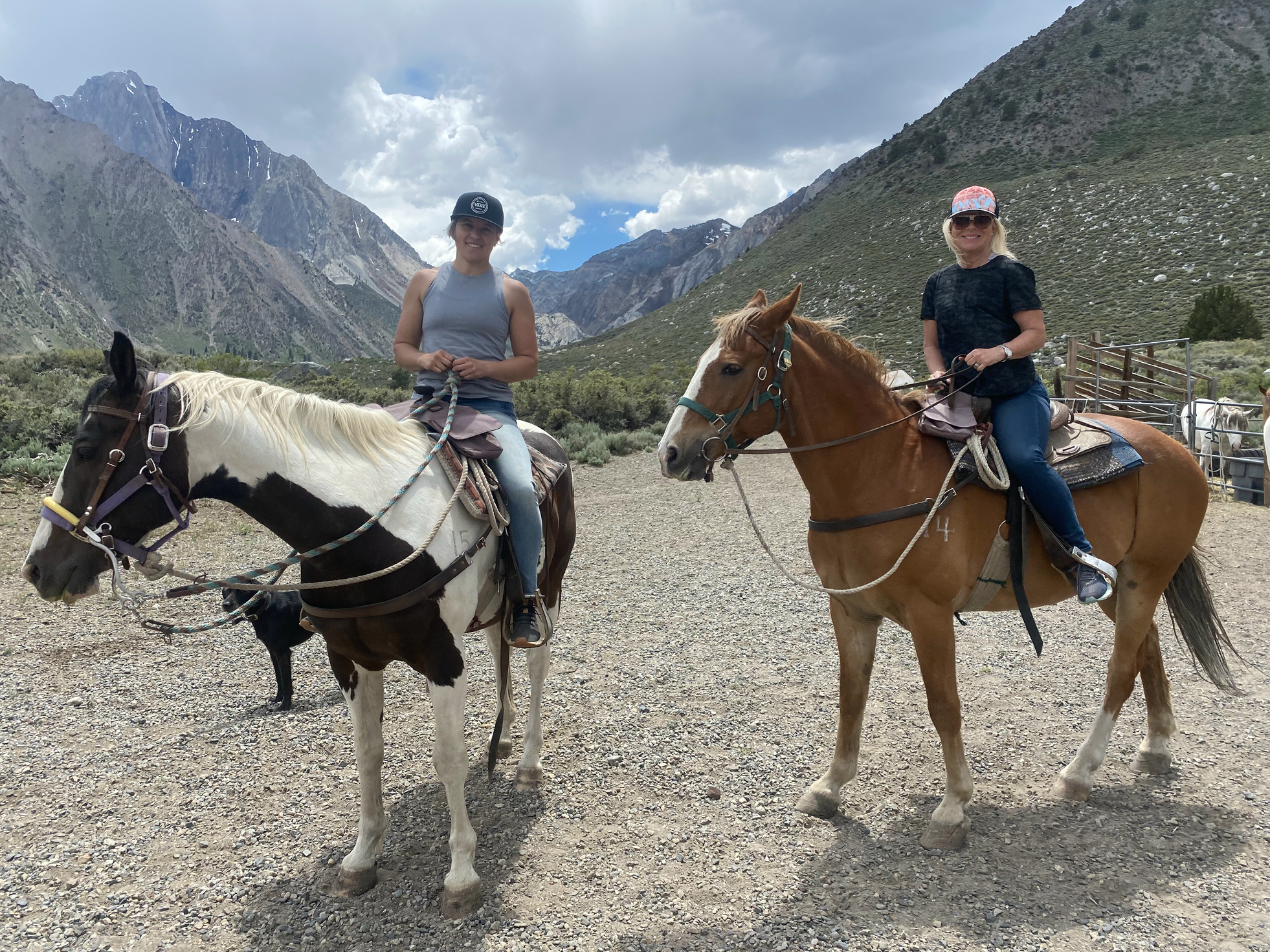 Screen Shot 2023-05-17 at 4.11.37 PM.png