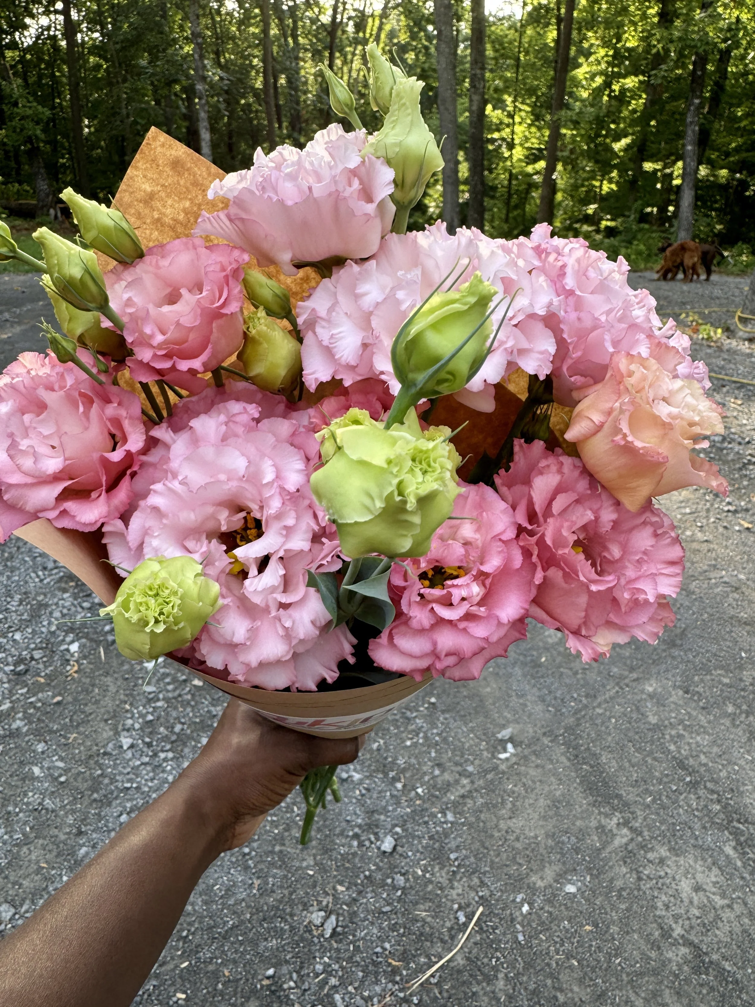 Lisianthus Bunch 2 For $45