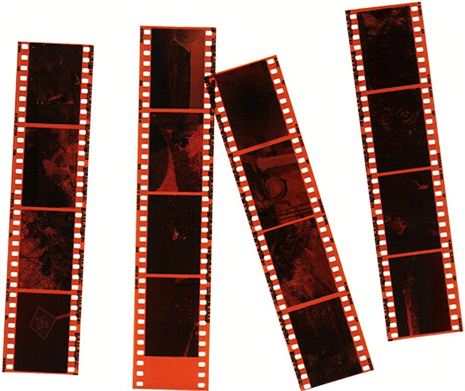 Scan Negatives