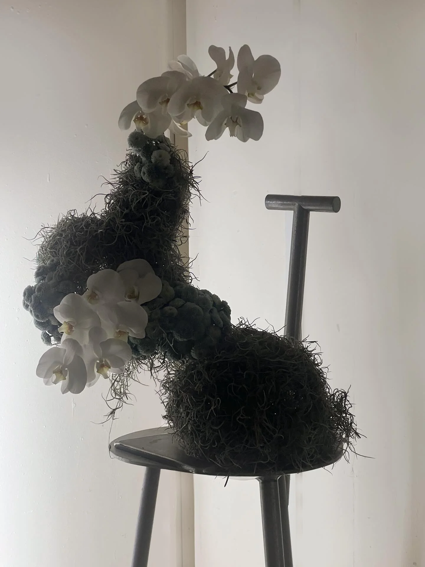 Sculptural floral positioned on our Faye Toogood Spade chair, displayed recently at our &lsquo;At The Table&rsquo; dinner to spotlight the work of @furnishingfutures, created by @stem.flow 

Tiff and I talked about silhouettes to symbolise the streng