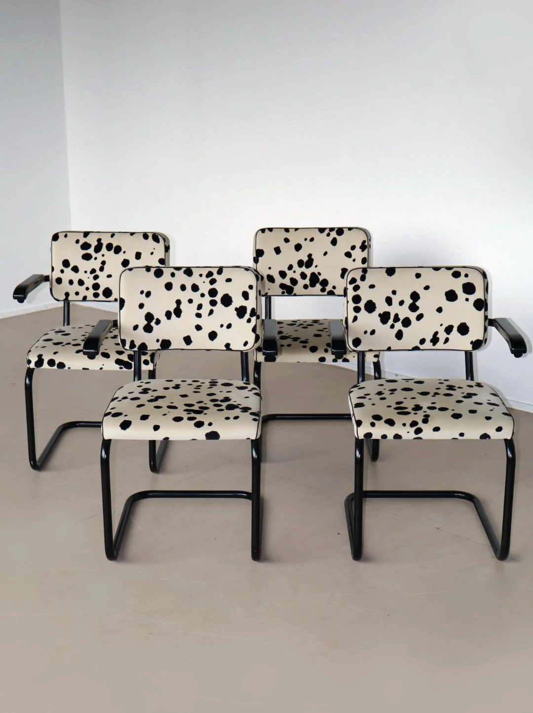 BreuerDalmation8.jpg