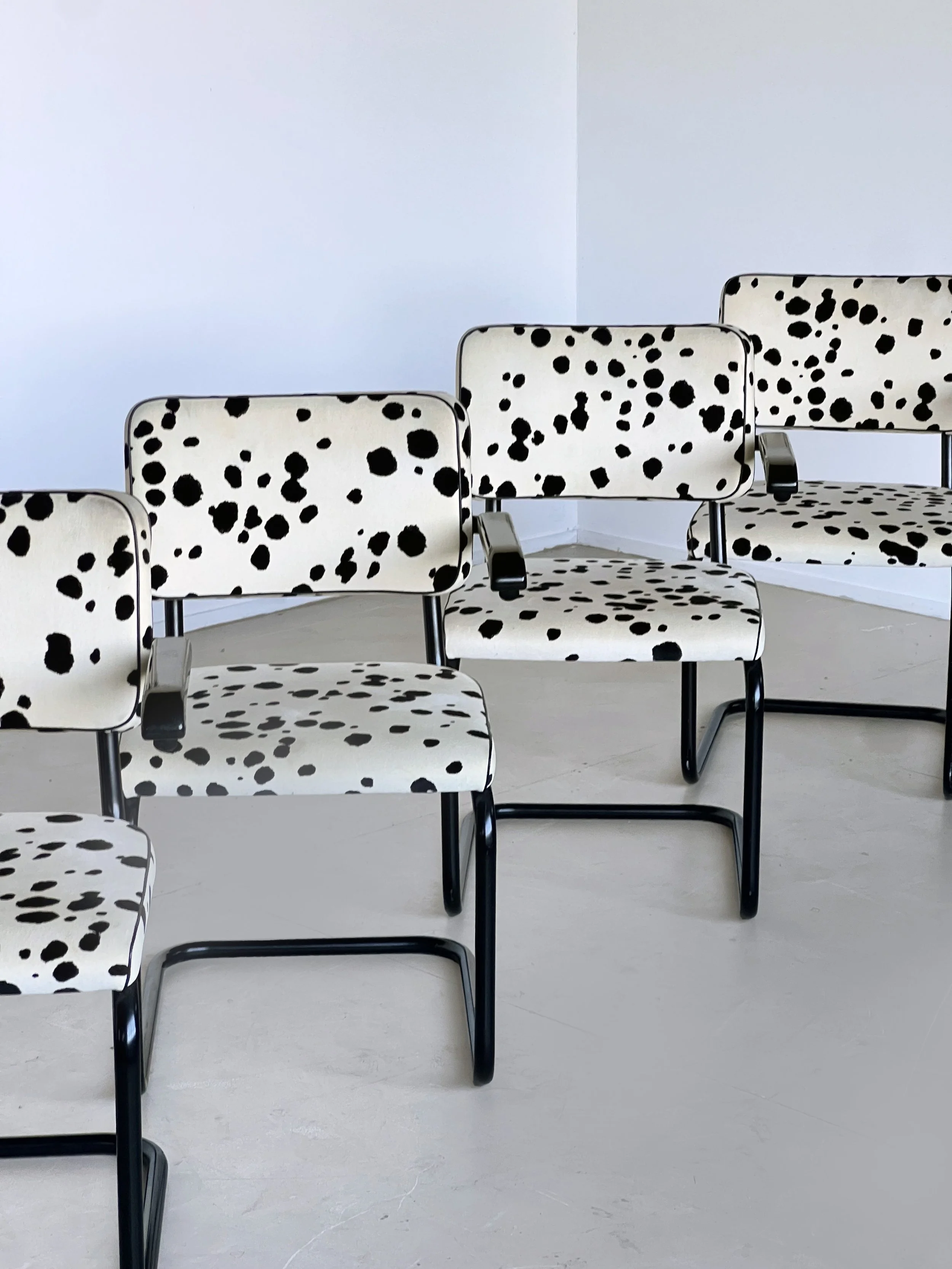 BreuerDalmation4.jpg
