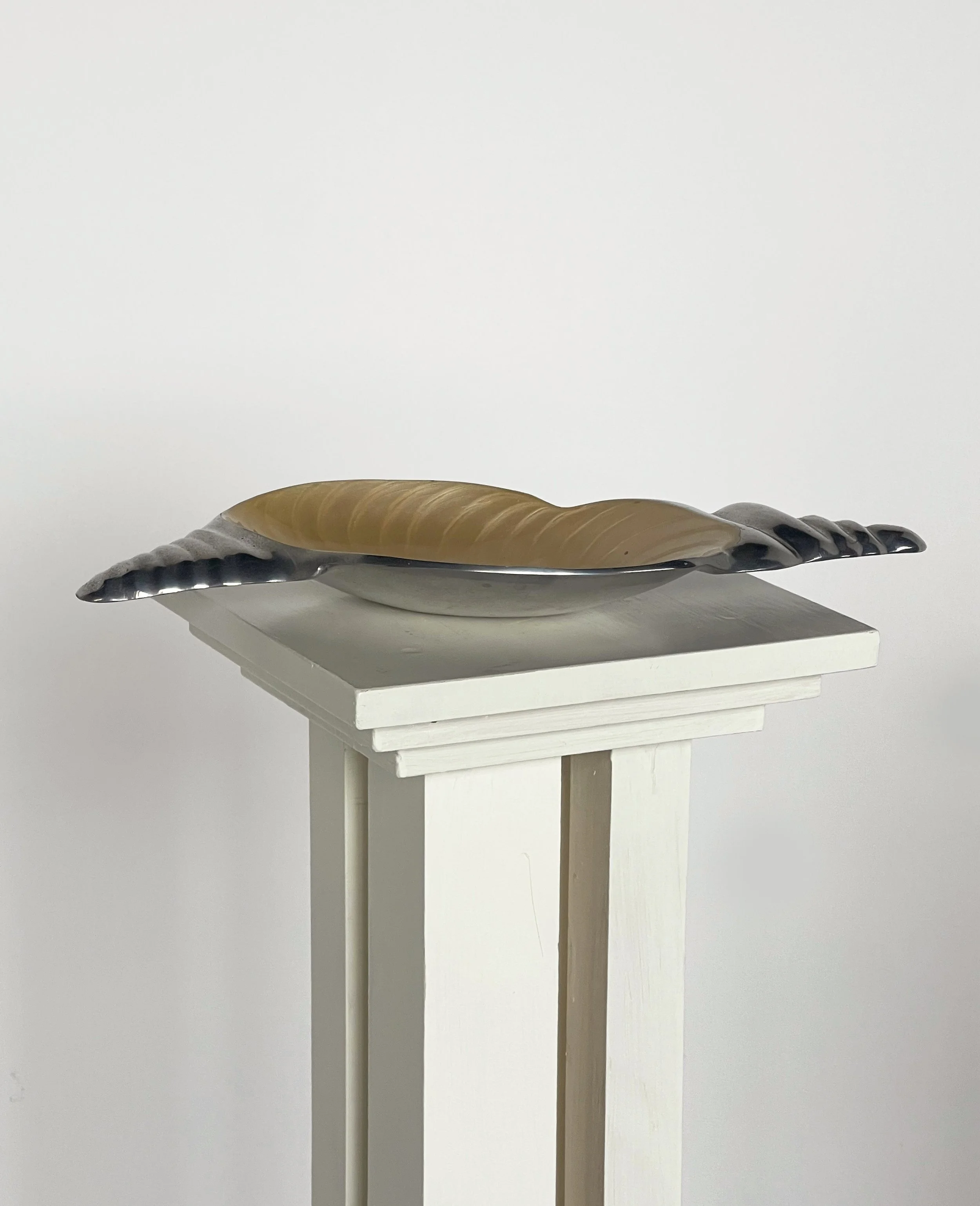 shelldish2.jpg
