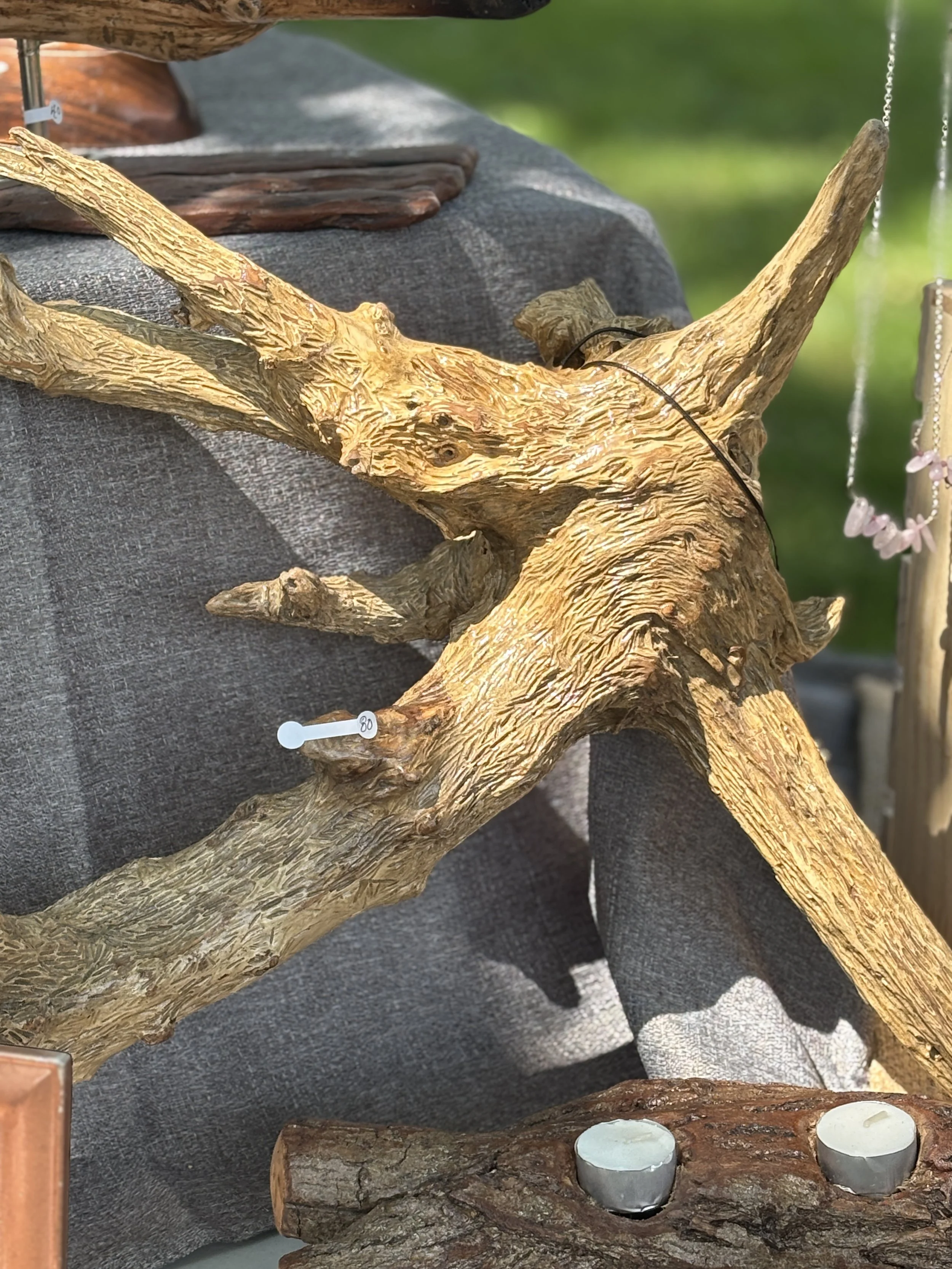 Beaver driftwood display