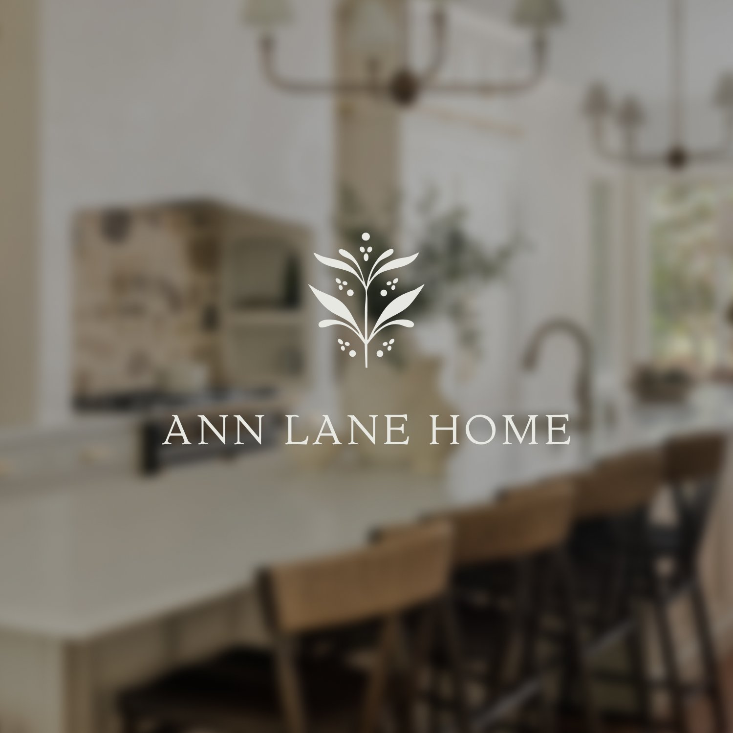 ANN LANE HOME | BRAND & WEBSITE