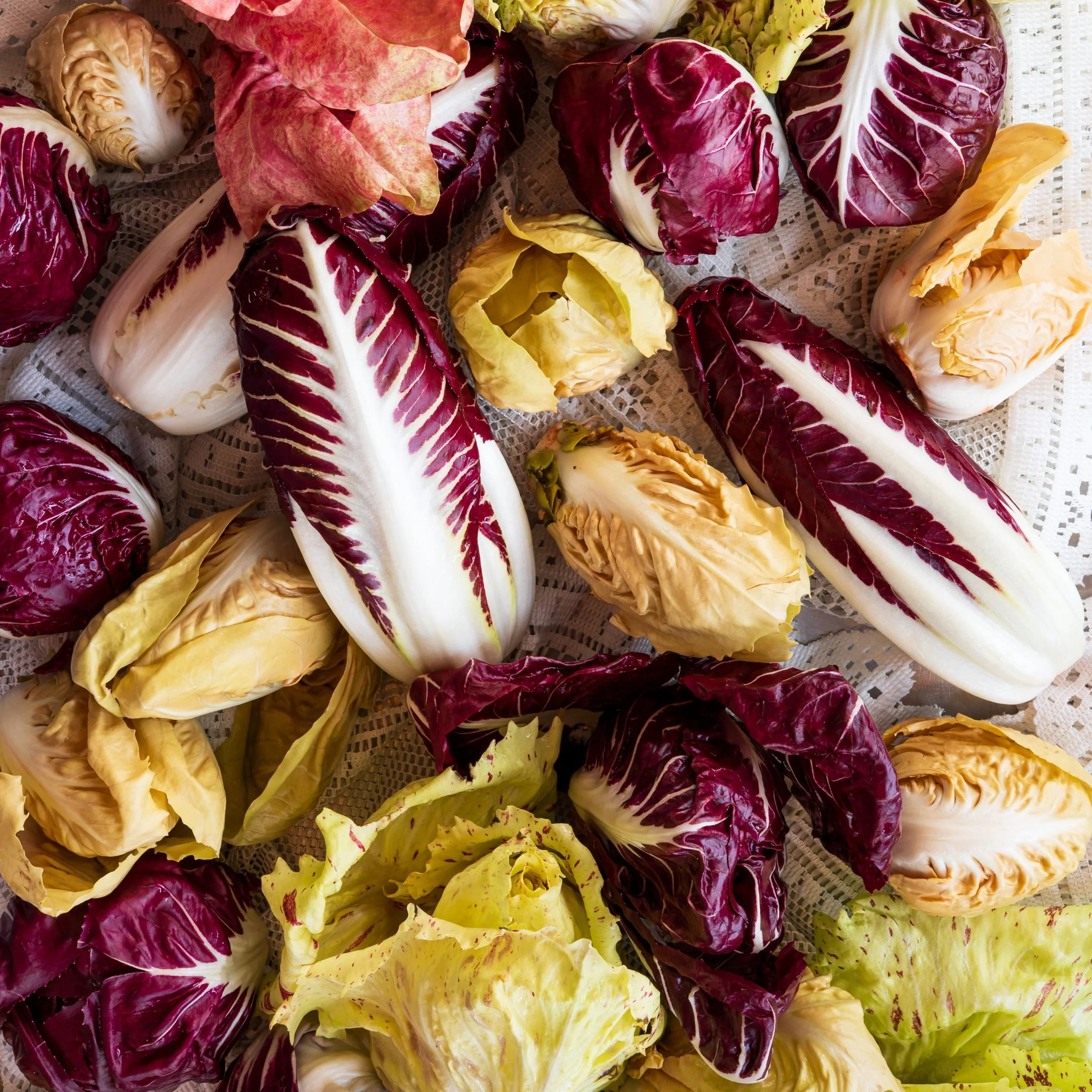 New Project (30).jpg