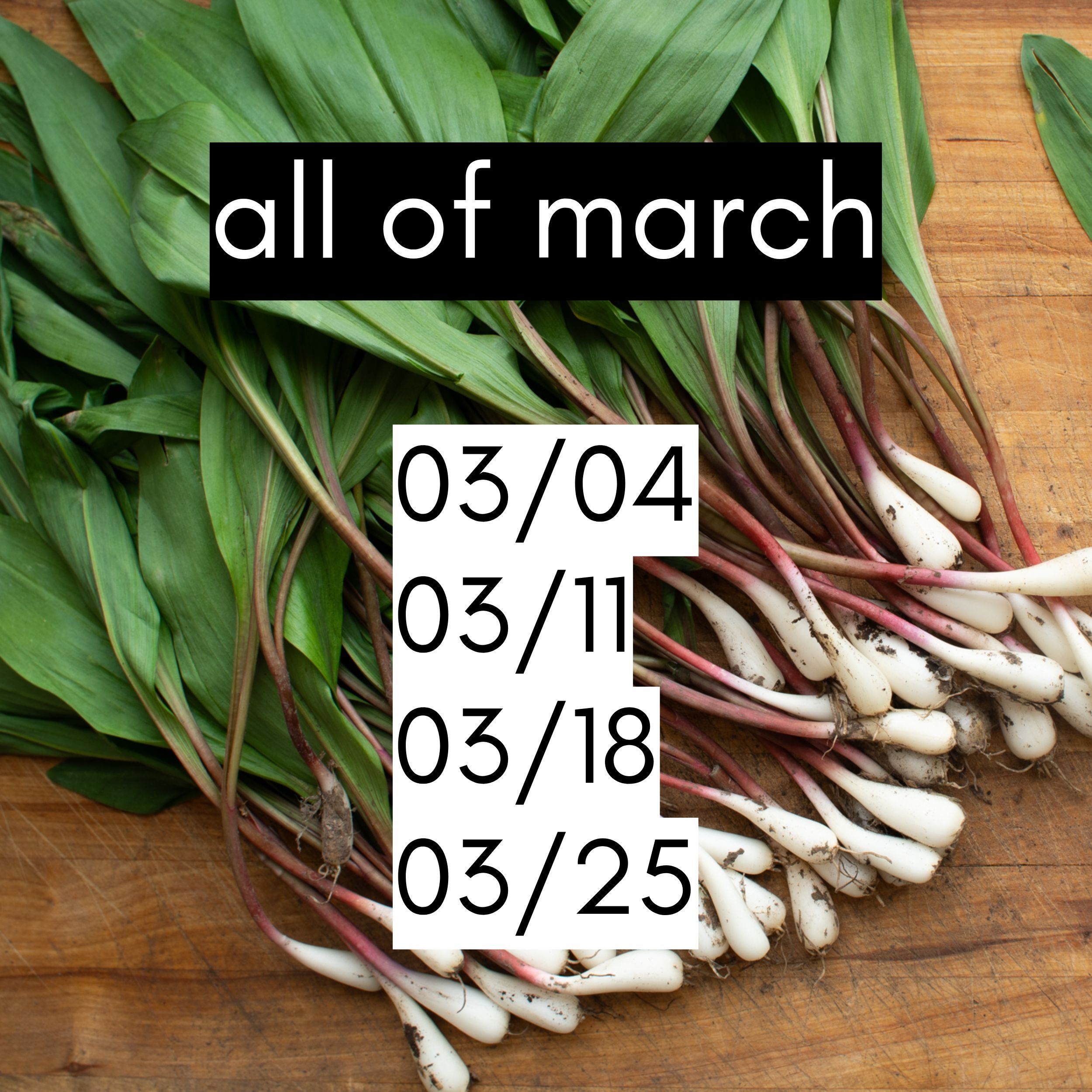 belly basket - all of march