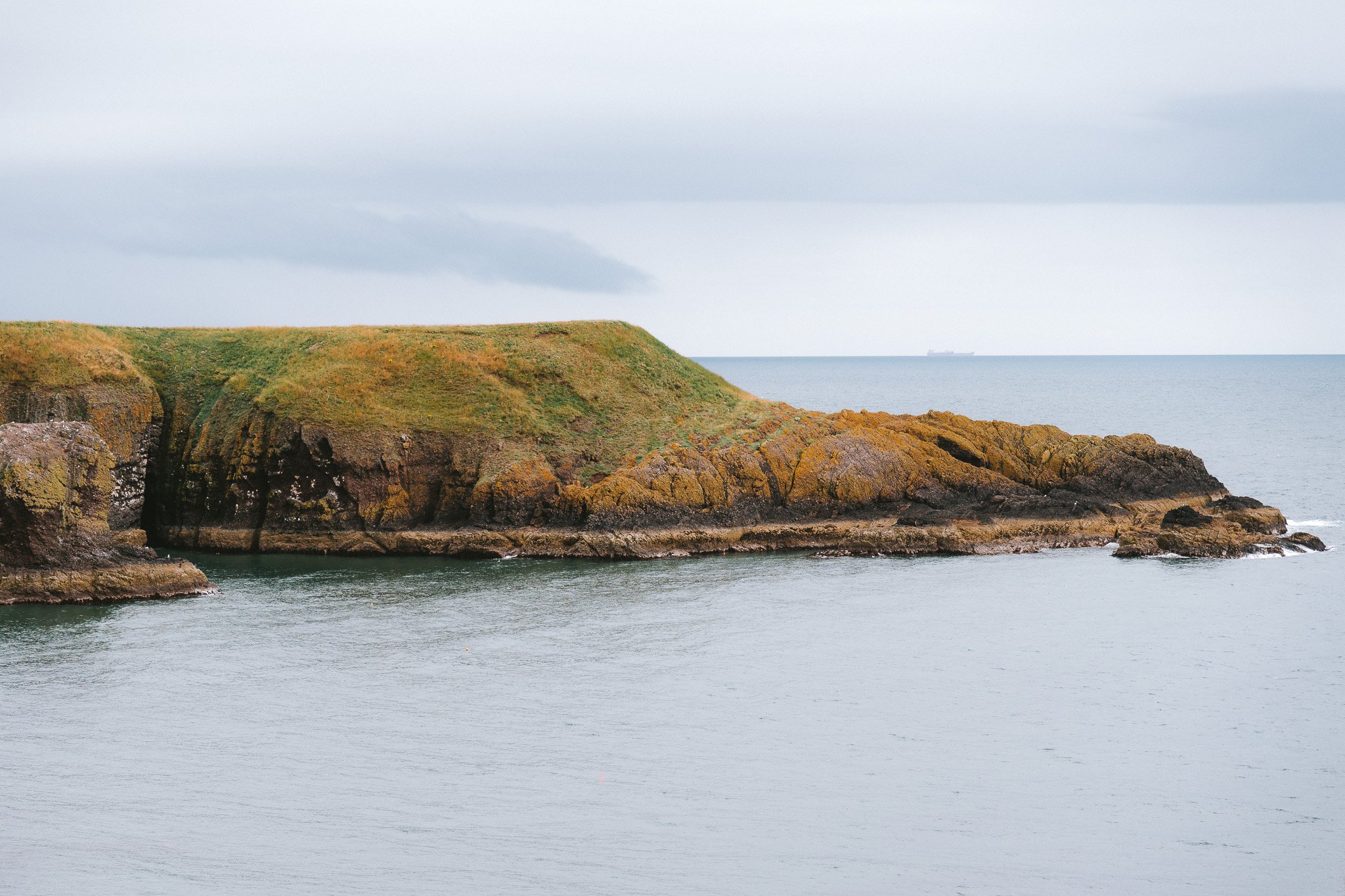 _DSC2991.jpg