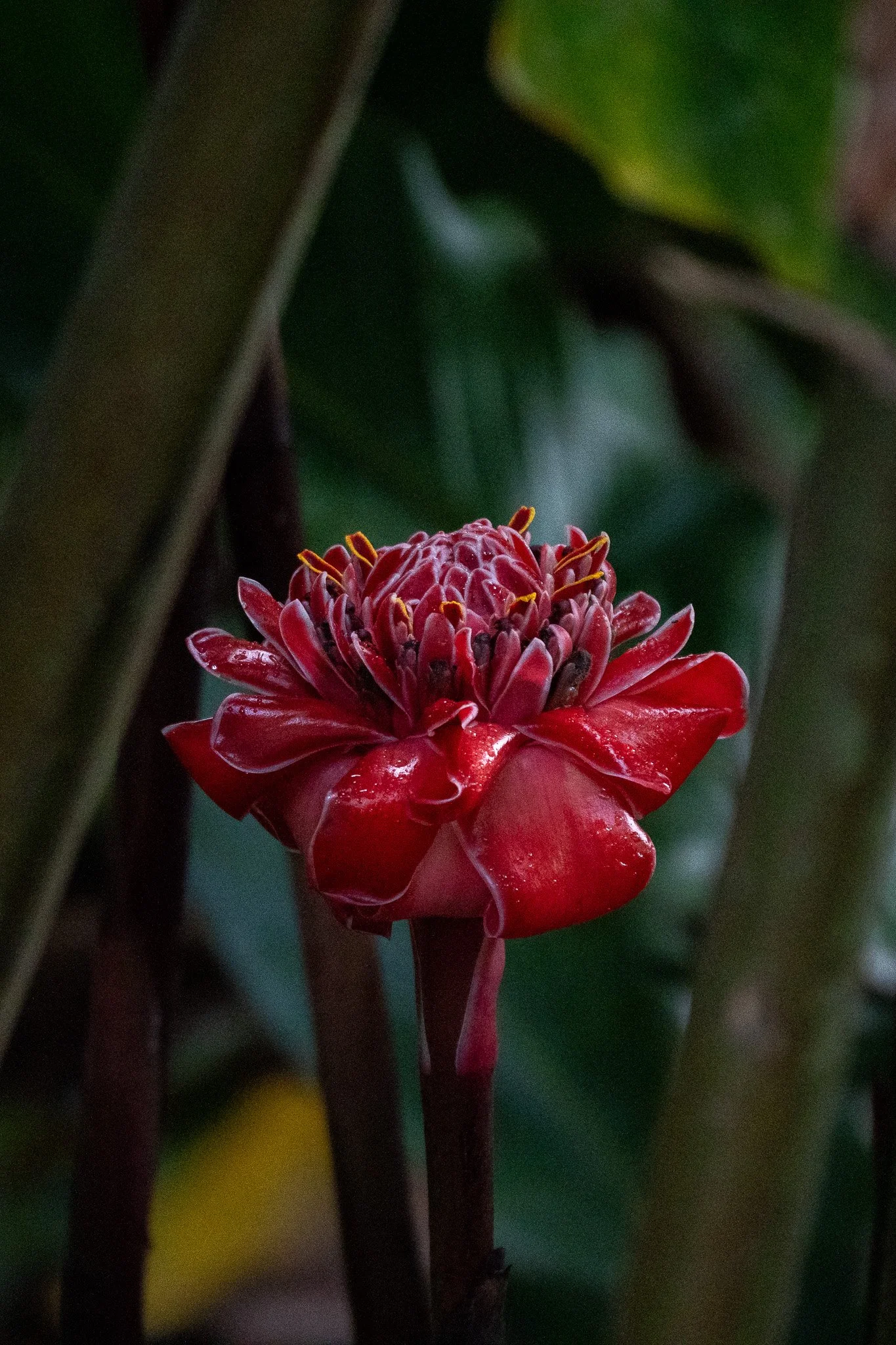 _DSC8102.jpg
