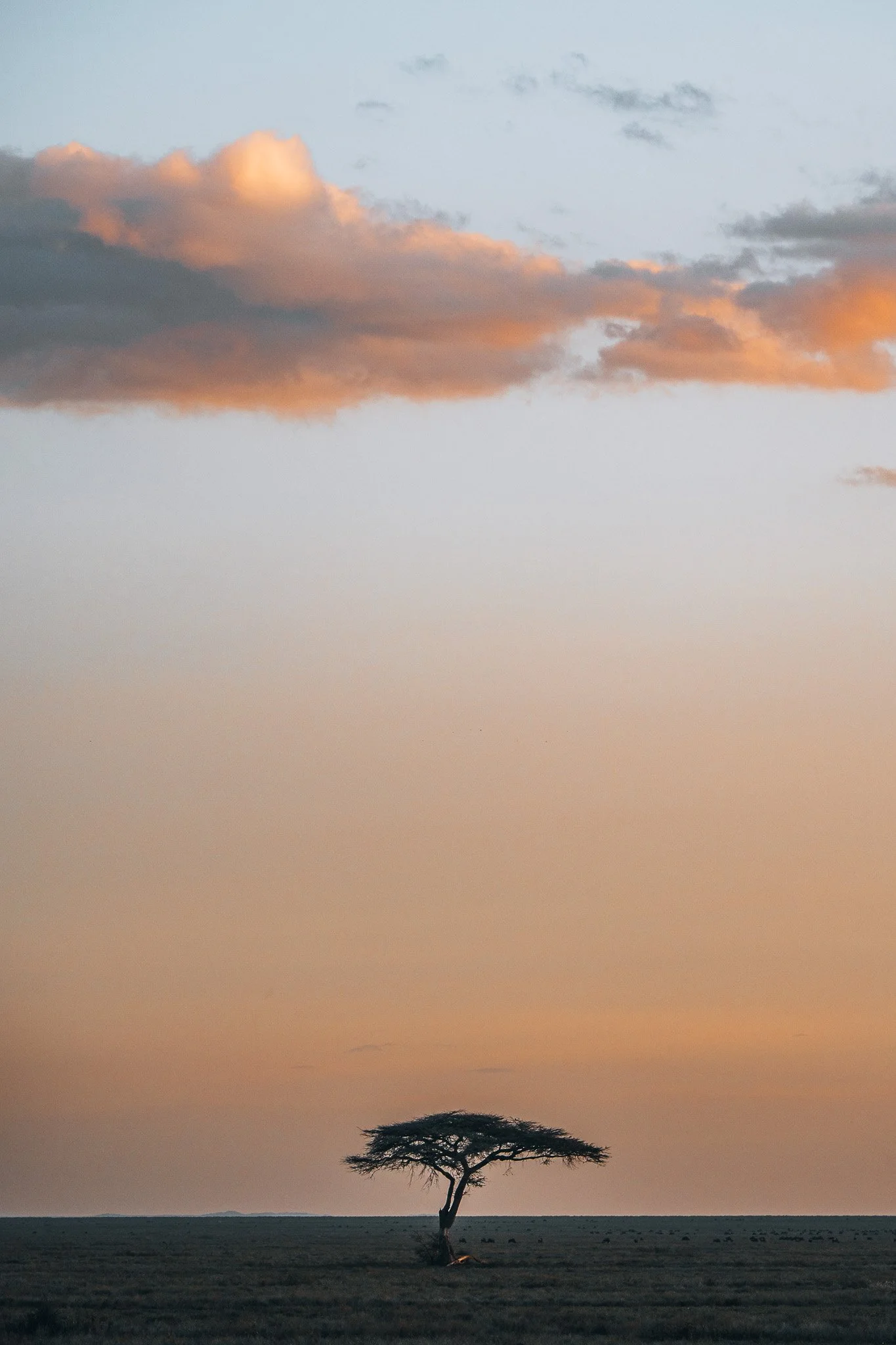 _A7C7714-2.jpg