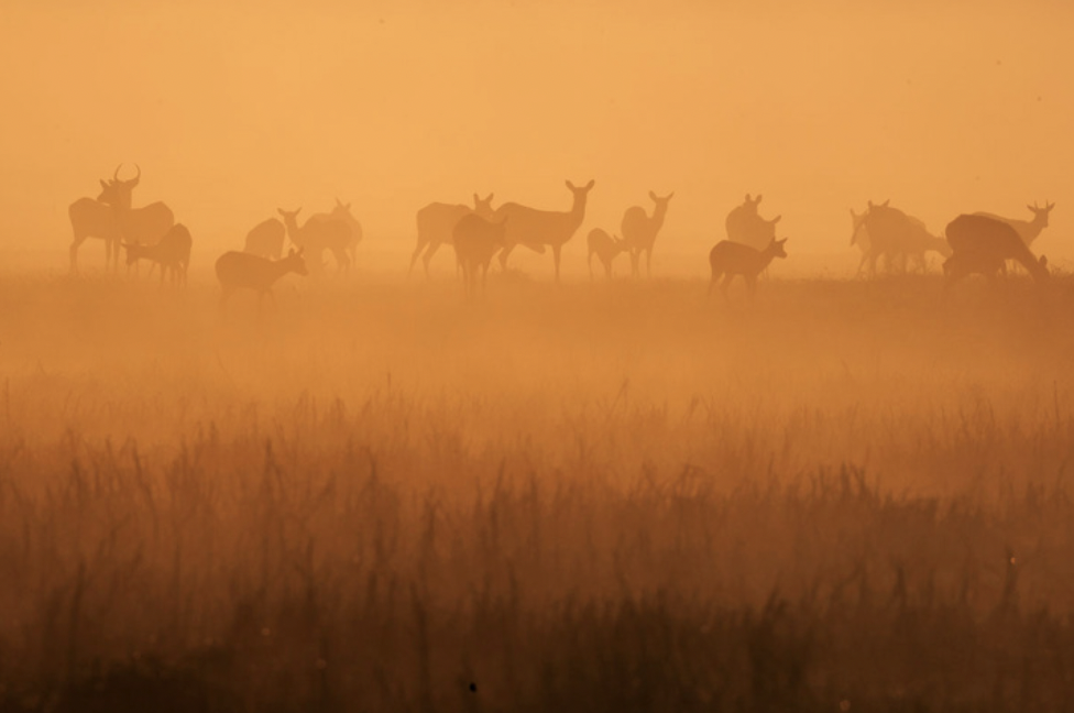 Vast Series | Michael Lorentz