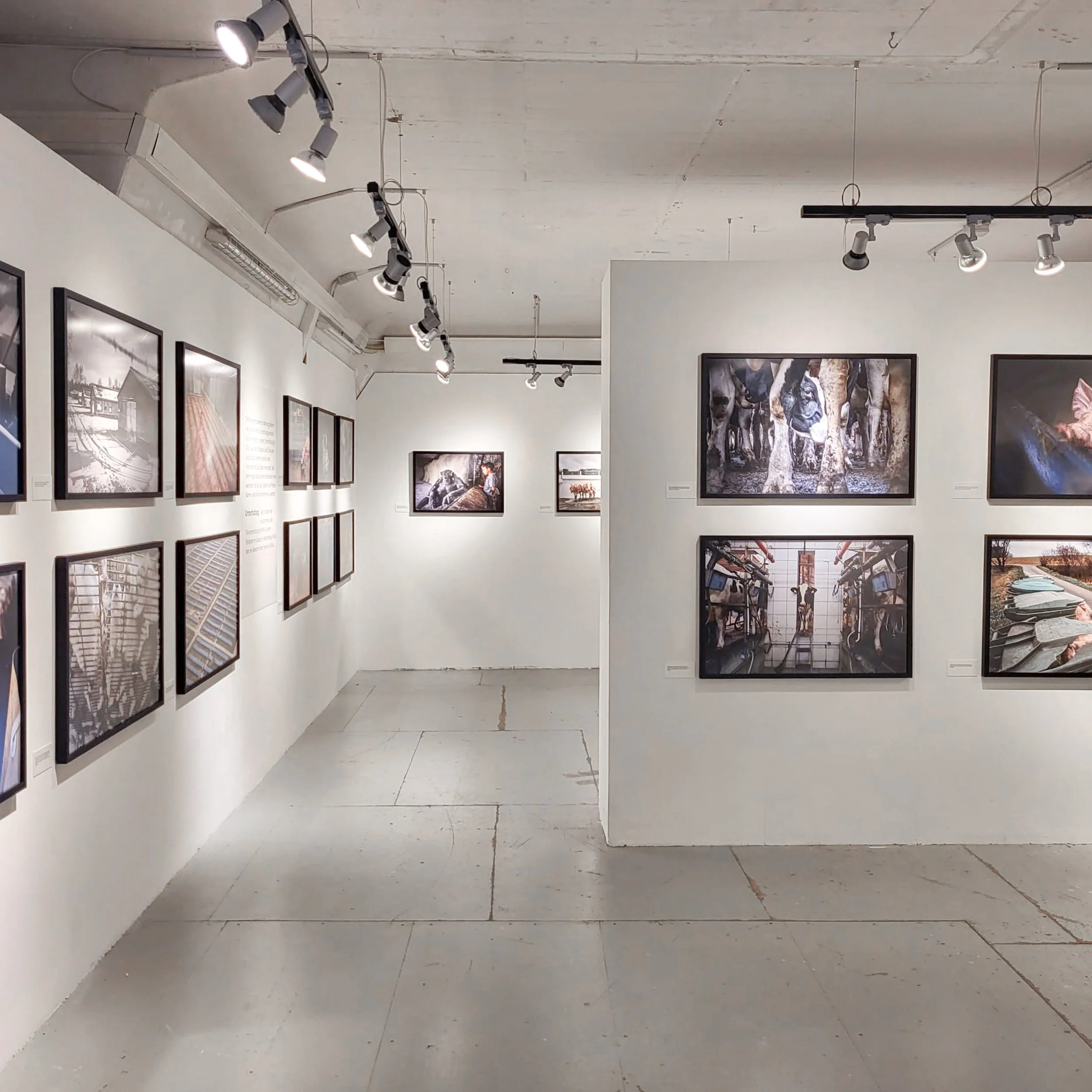 Fotoausstellung_Hidden7.jpg