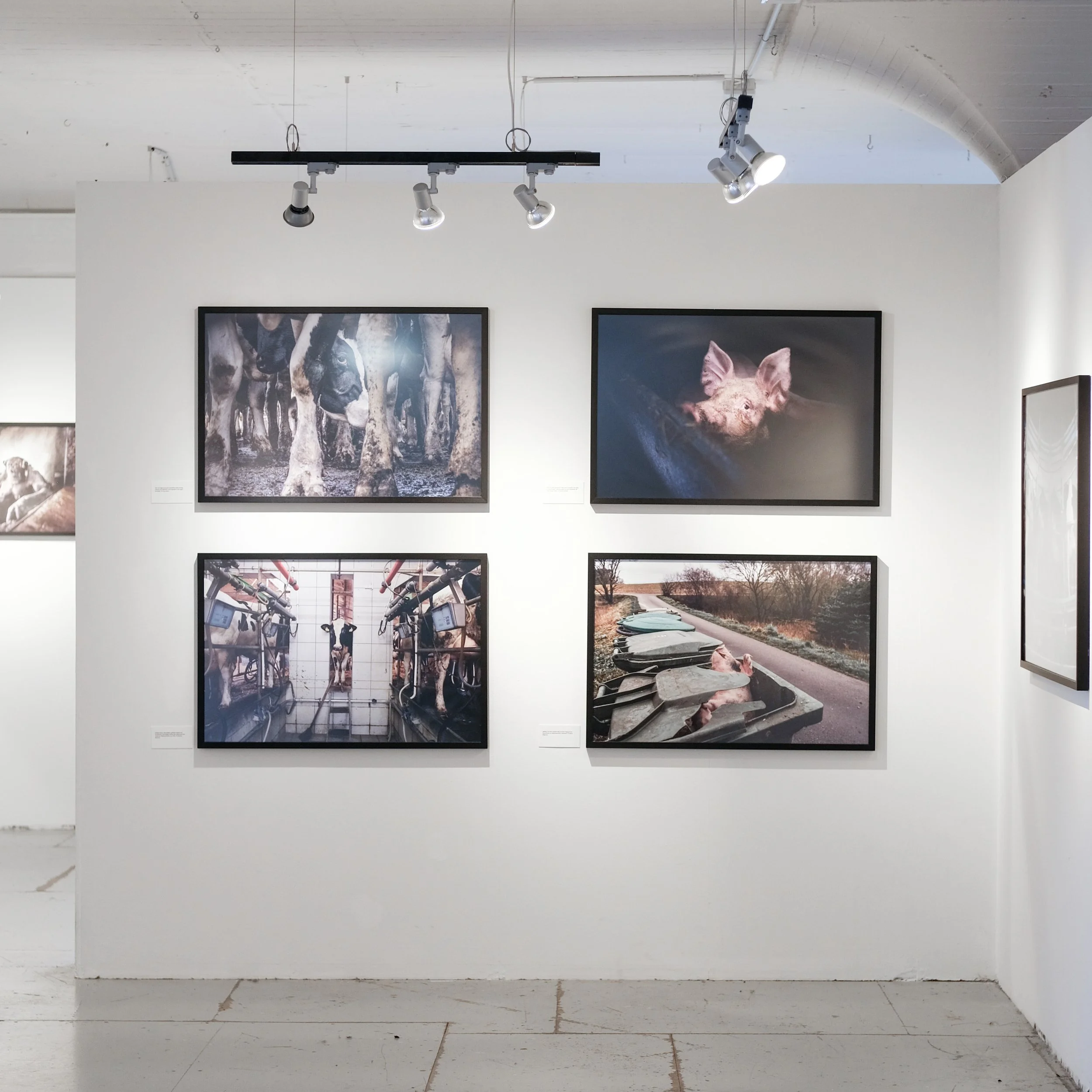 Fotoausstellung_Hidden.jpg