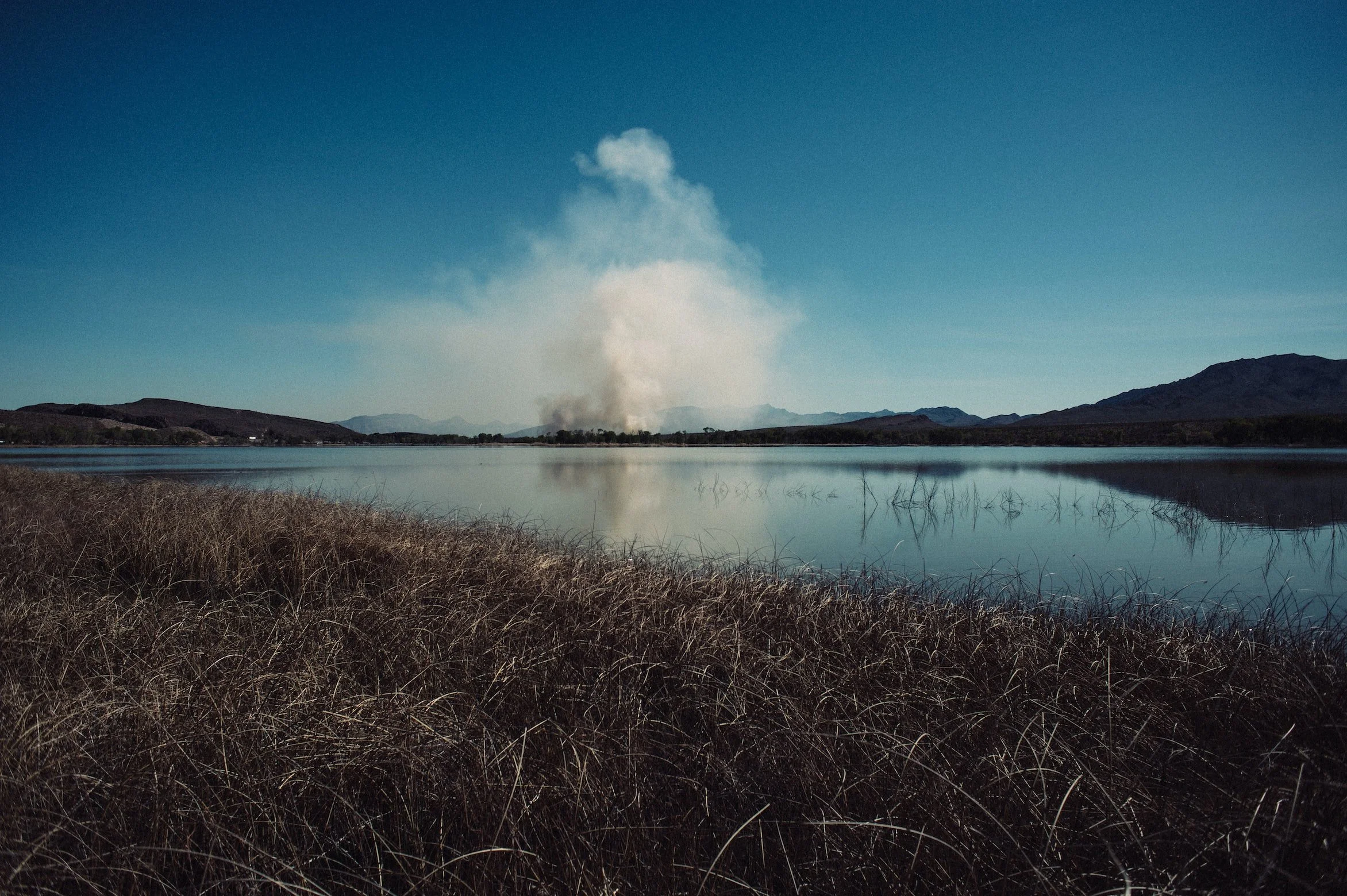 5 Things You Can Do Right Now To Implement Wildfire Prevention